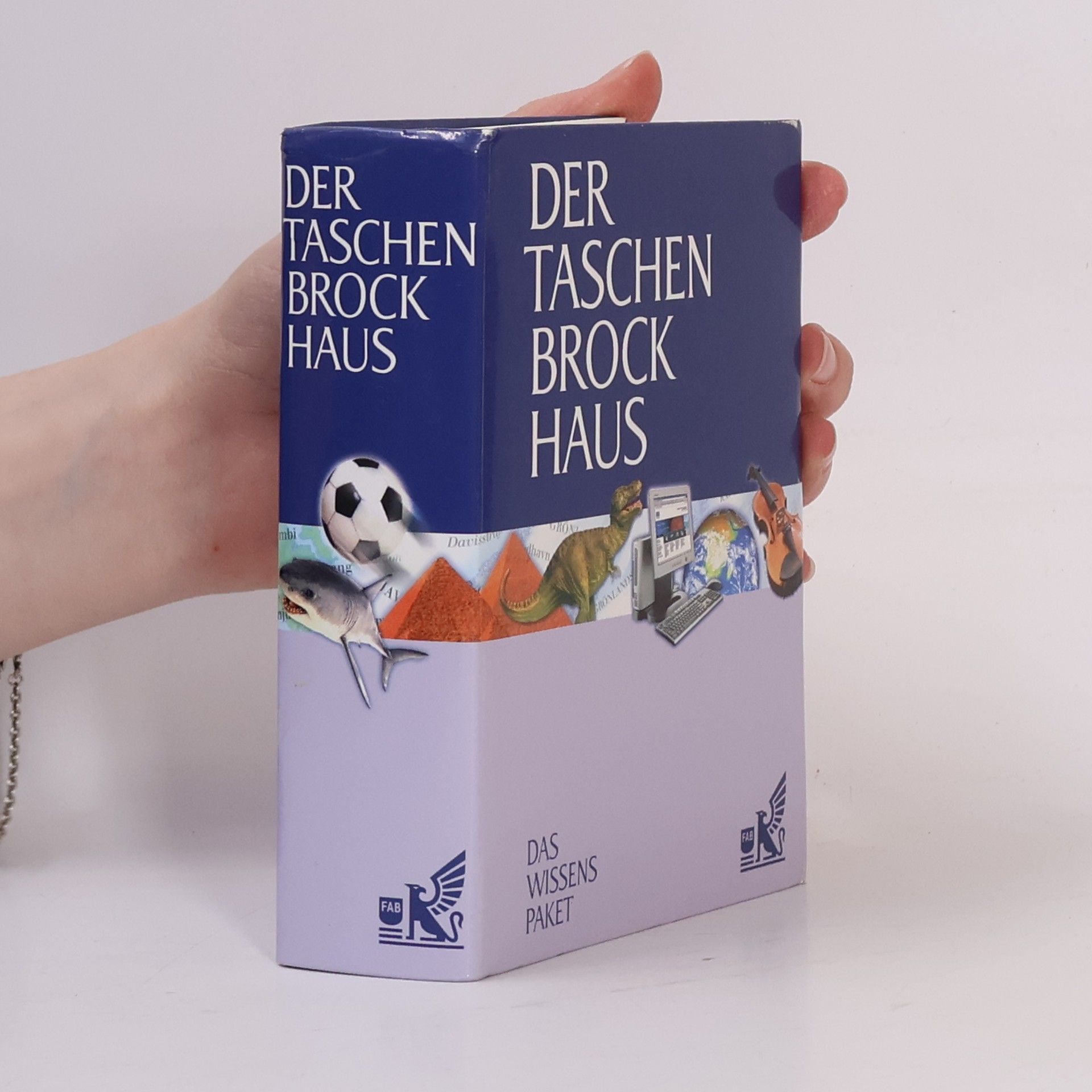 Ulrike Emrich Der Taschen-Brockhaus