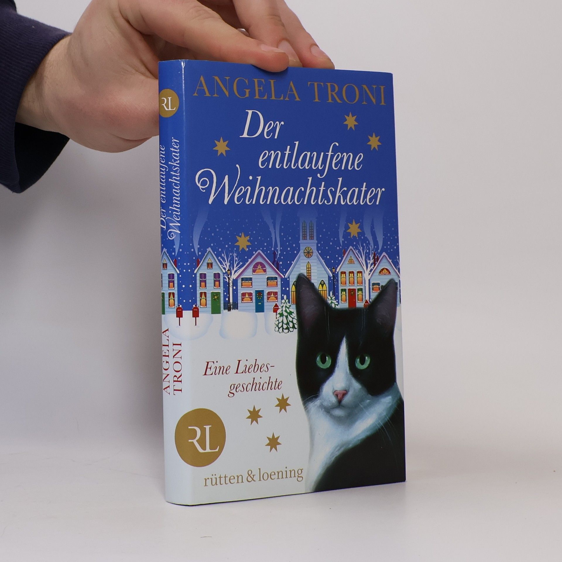 Angela Troni Der entlaufene Weihnachtskater