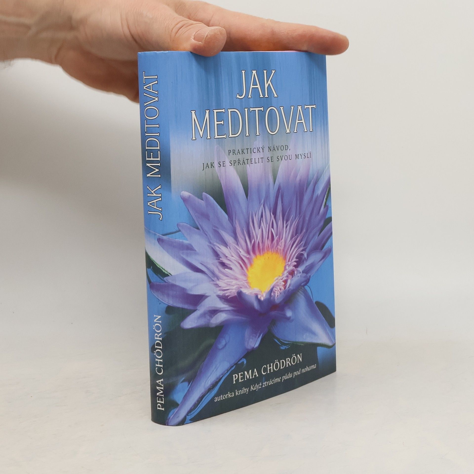 Pema Chödrön Jak meditovat