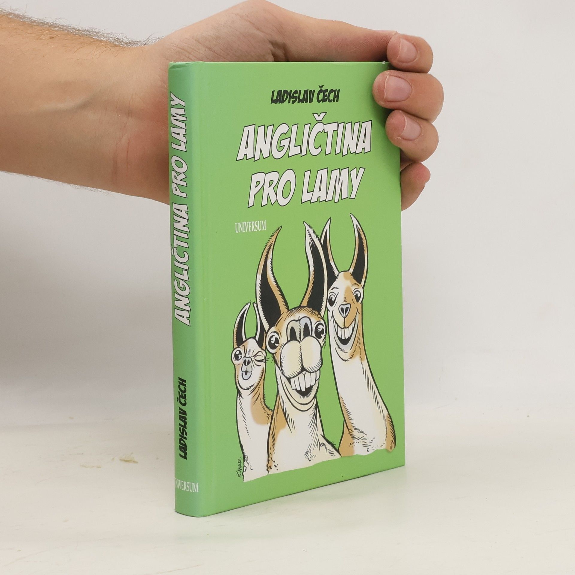 Ladislav Čech Angličtina pro lamy