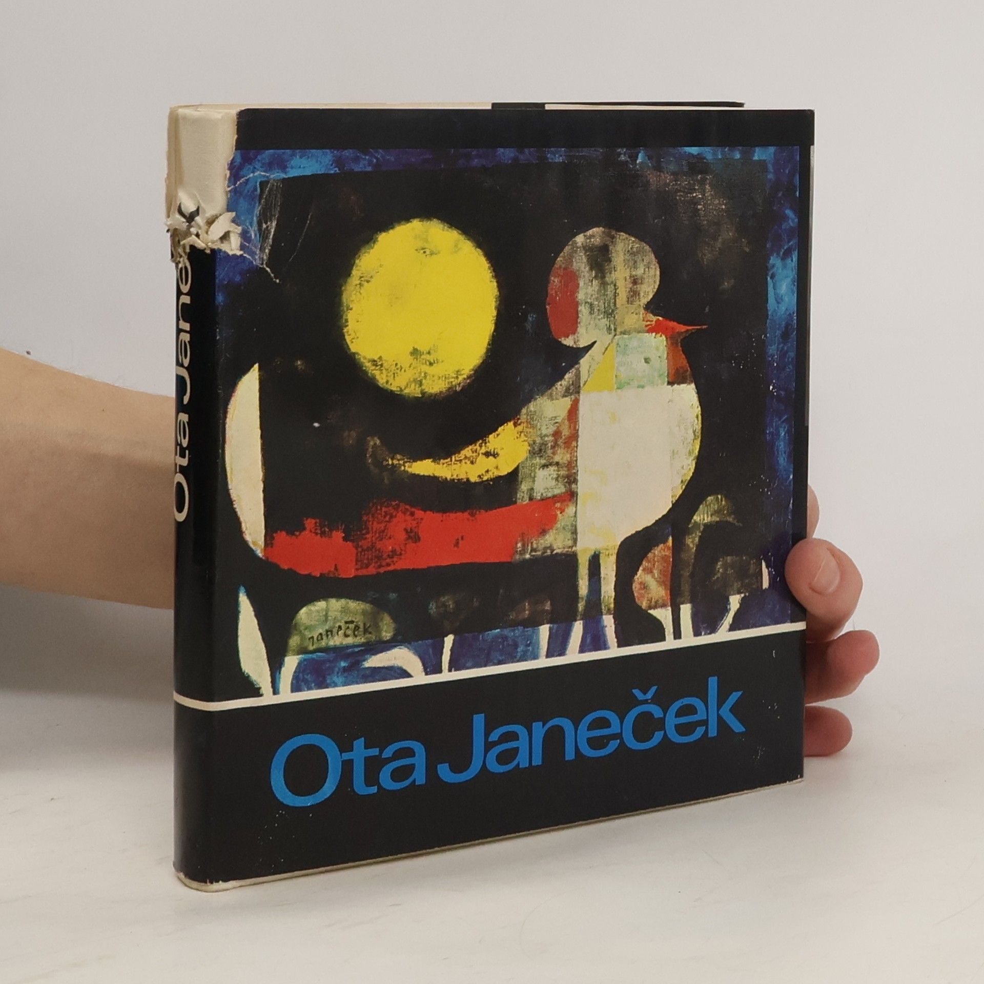 Ota Janeček