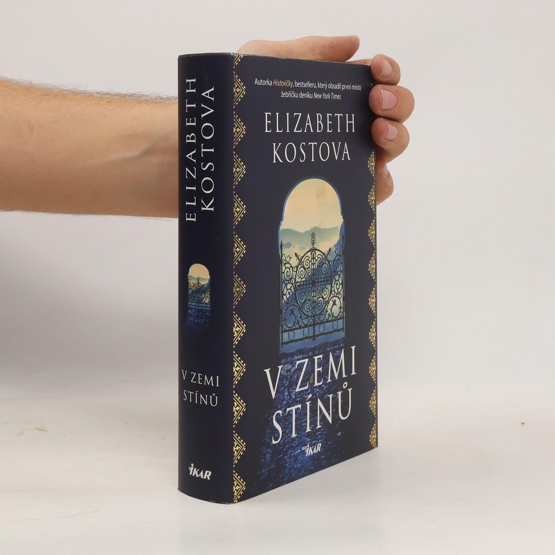 Elizabeth Kostova V zemi stínů