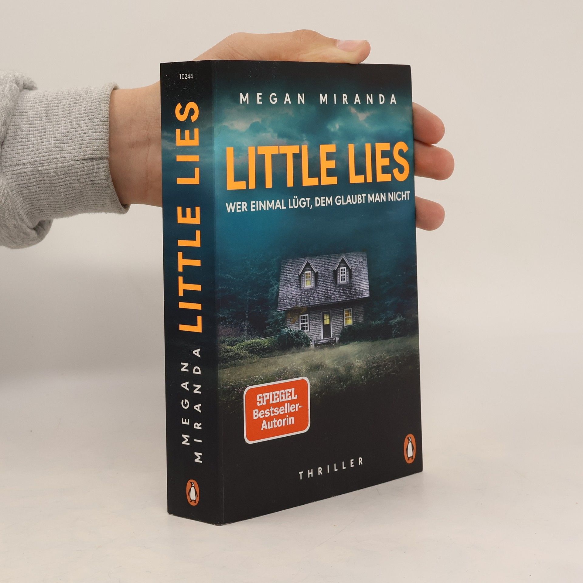 Megan Miranda LITTLE LIES – Wer einmal lügt, dem glaubt man nicht