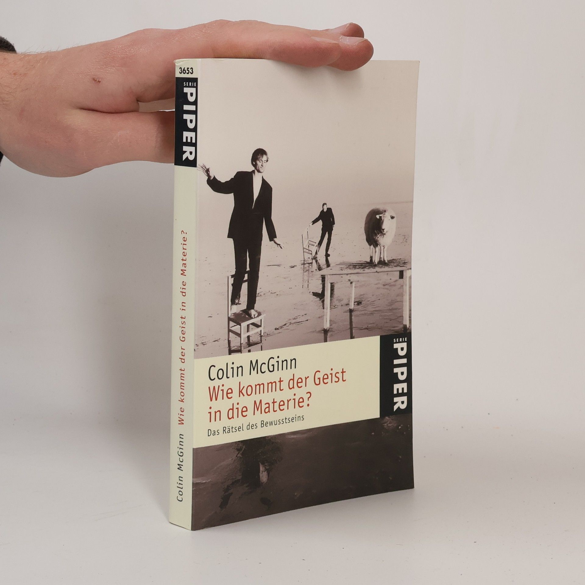 Colin McGinn Wie kommt der Geist in die Materie?