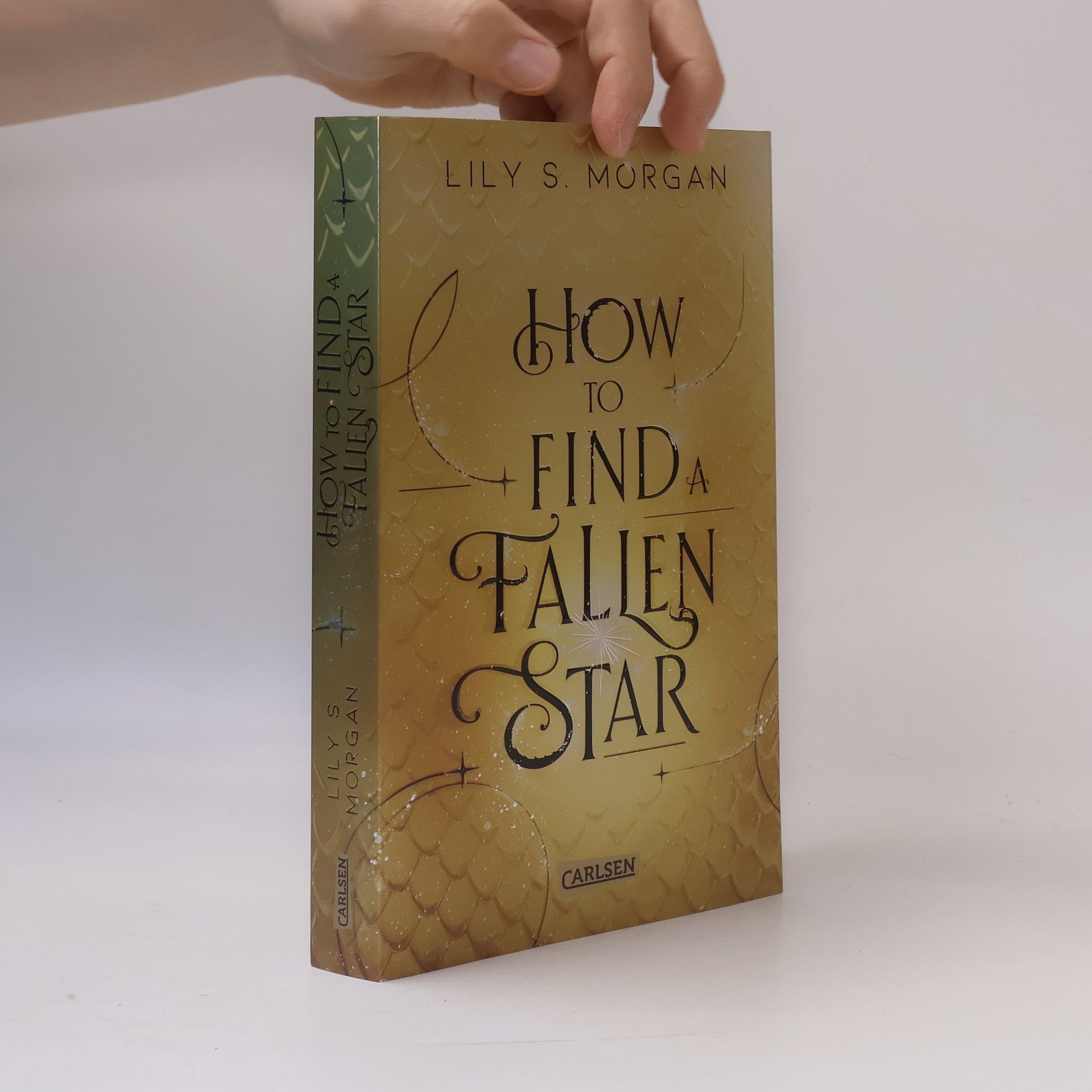 Lily S. Morgan How To Find A Fallen Star / New York Magics Bd.2