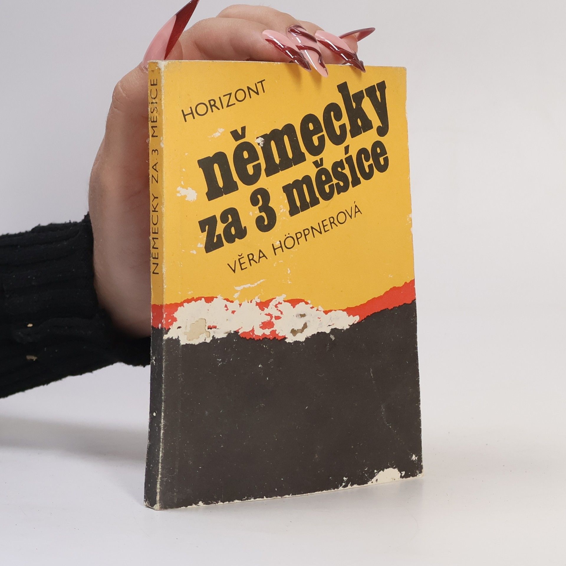 Věra Höppnerová Německy za 3 měsíce. Kurs pro samouky