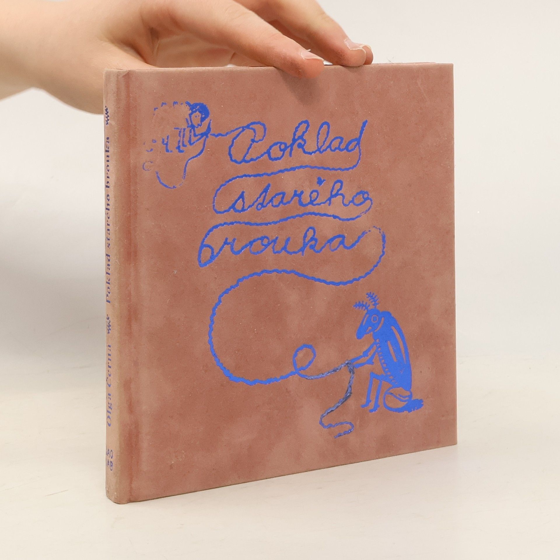 Olga Černá Poklad starého brouka