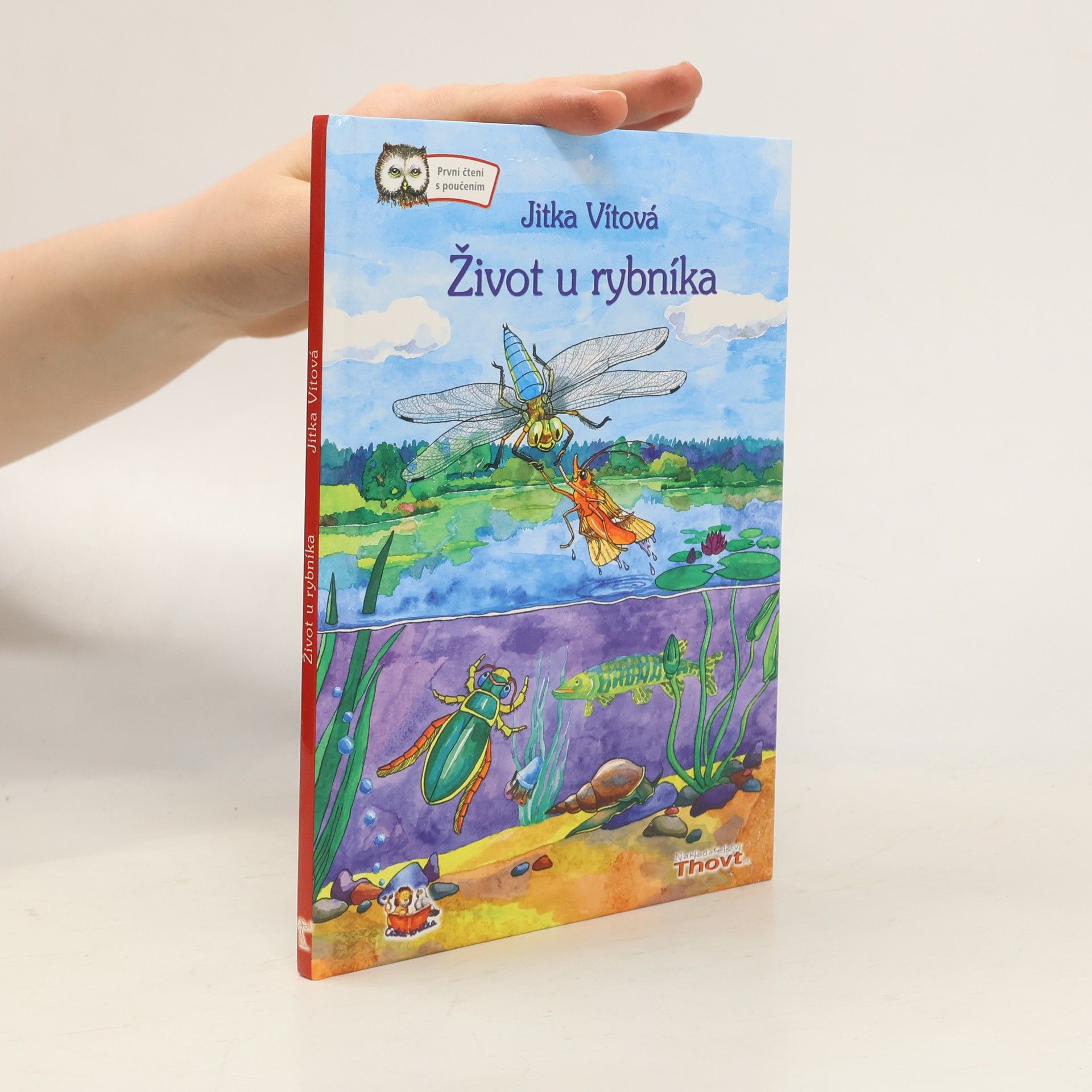 Život u rybníka