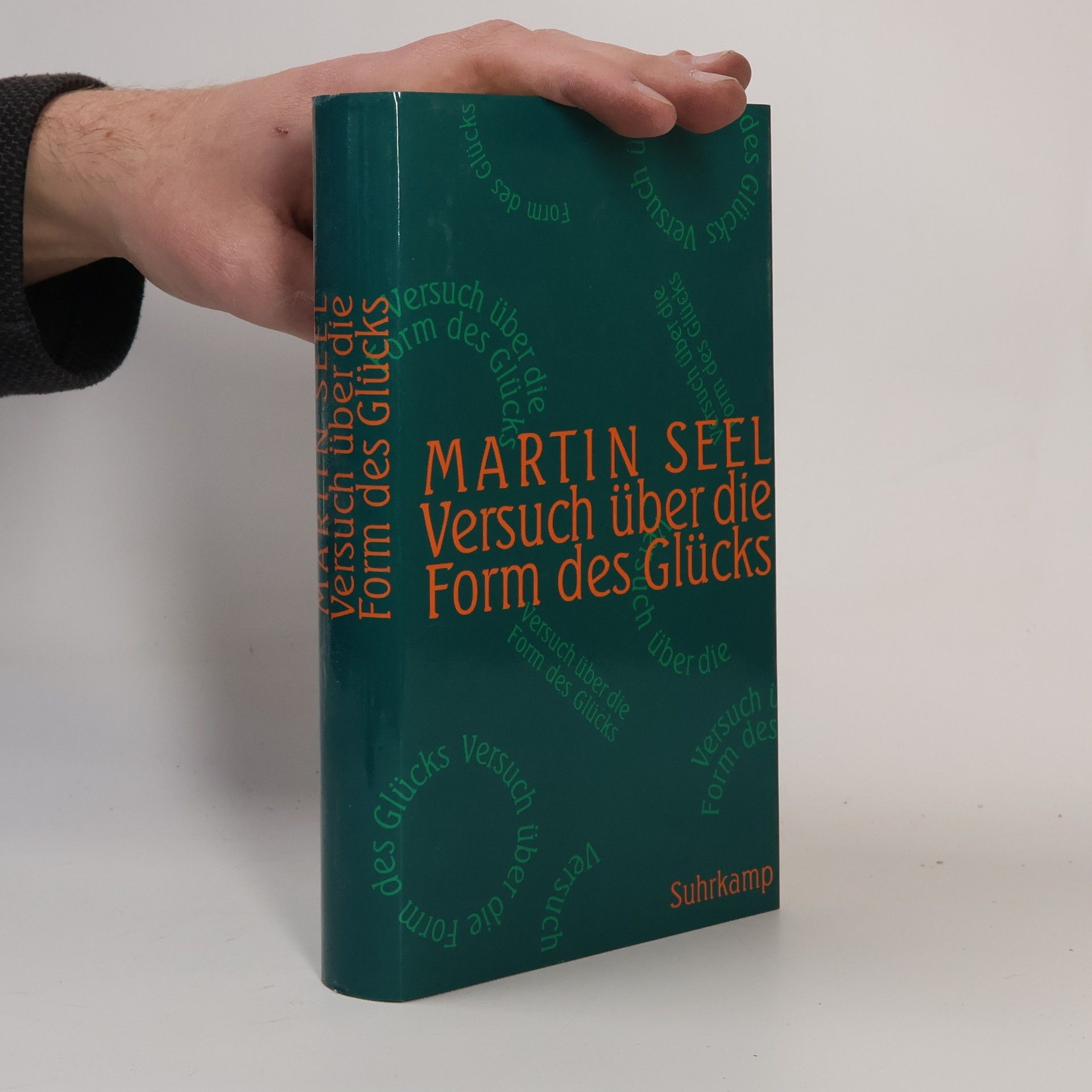 Martin Seel Versuch über die Form des Glücks