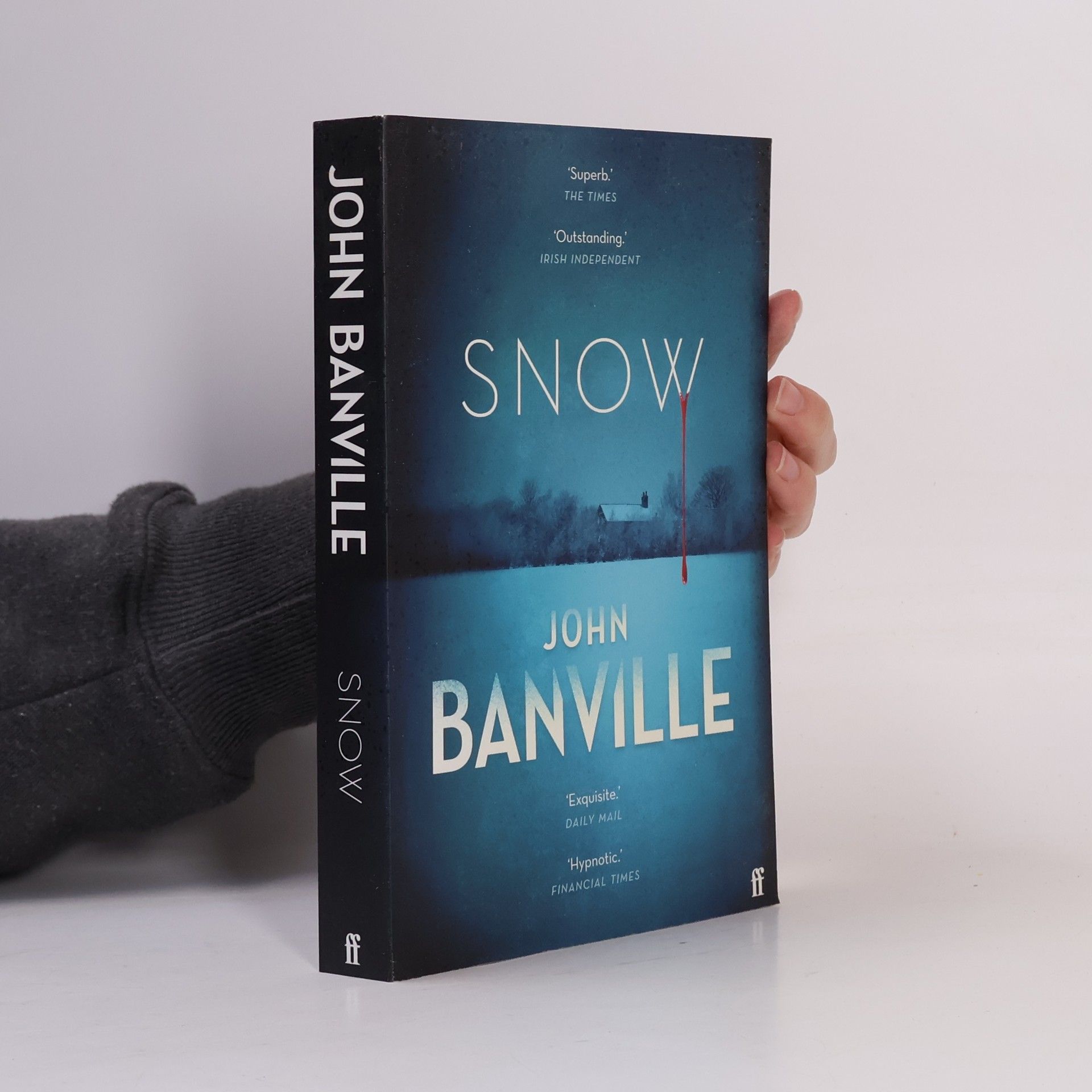 John Banville Snow