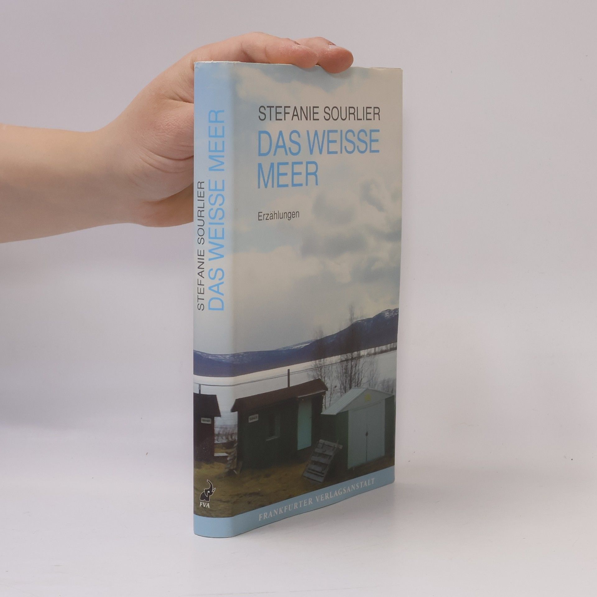 Stefanie Sourlier Das weiße Meer