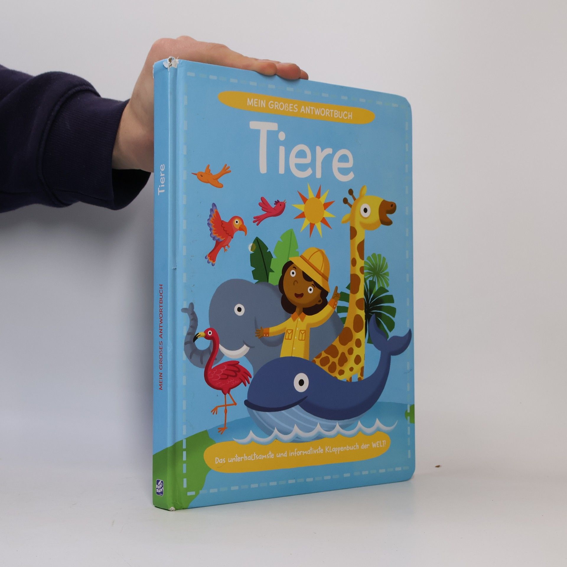 Autorenkollektiv Mein großes Antwortbuch: Tiere