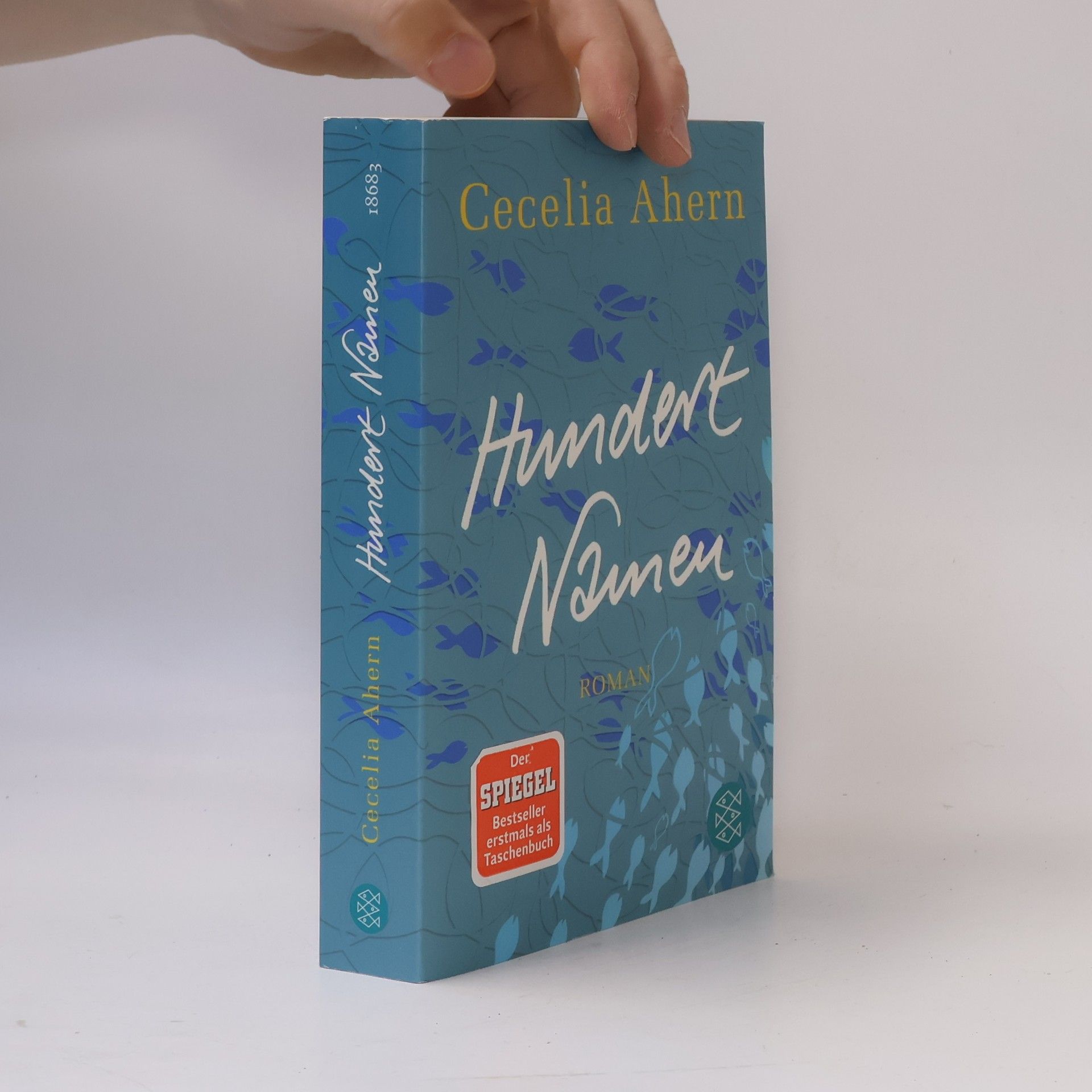 Cecelia Ahern Hundert Namen