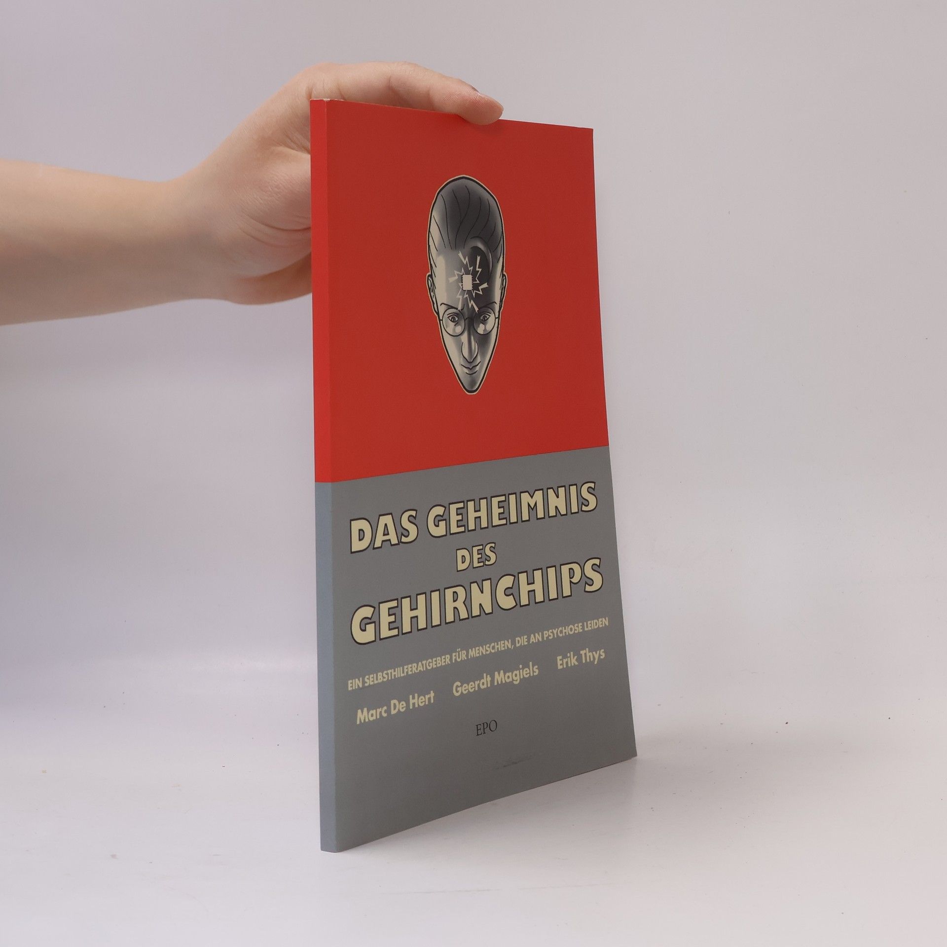Kolektiv autorů Das Geheimnis des Gehirnchips