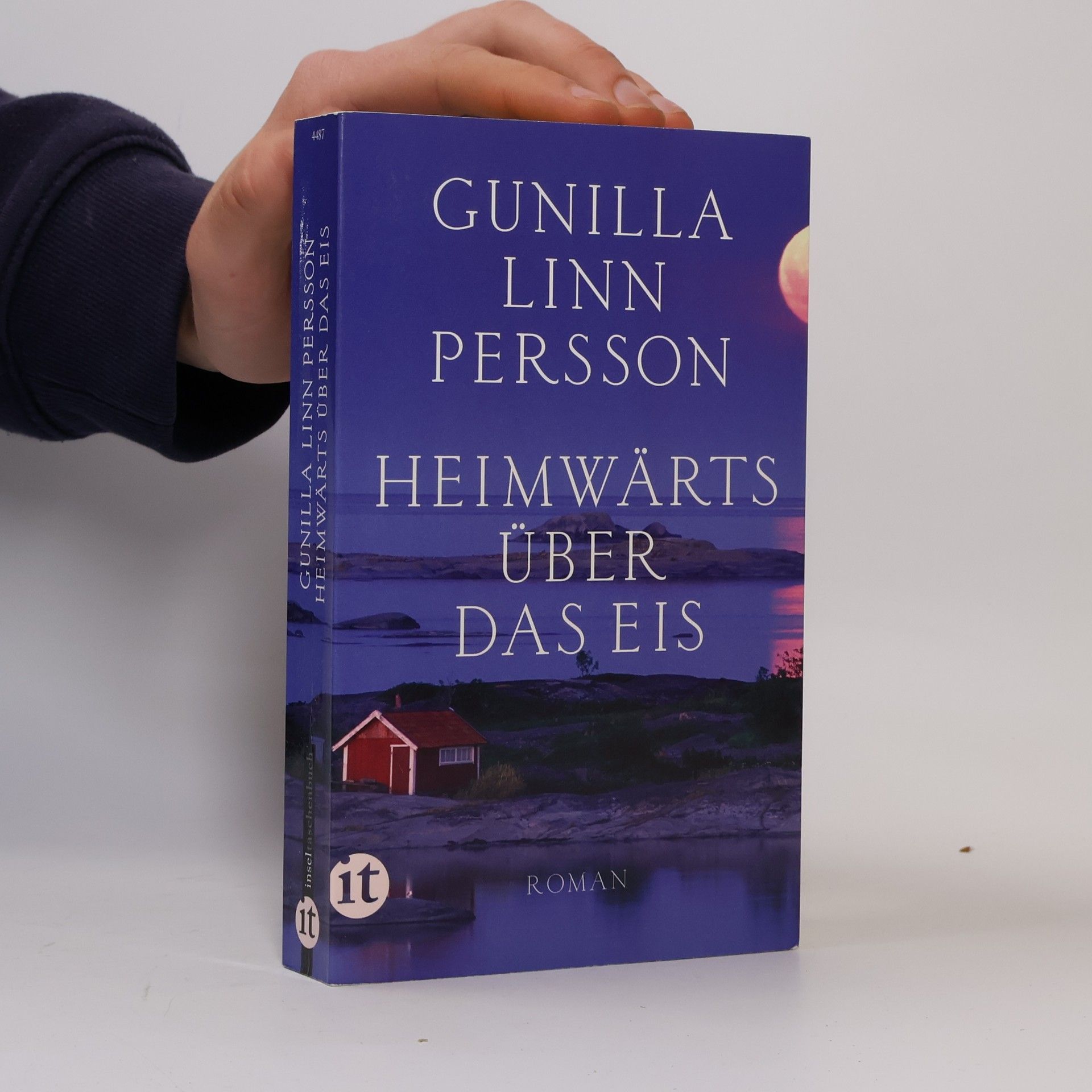 Gunilla Linn Persson Heimwärts über das Eis