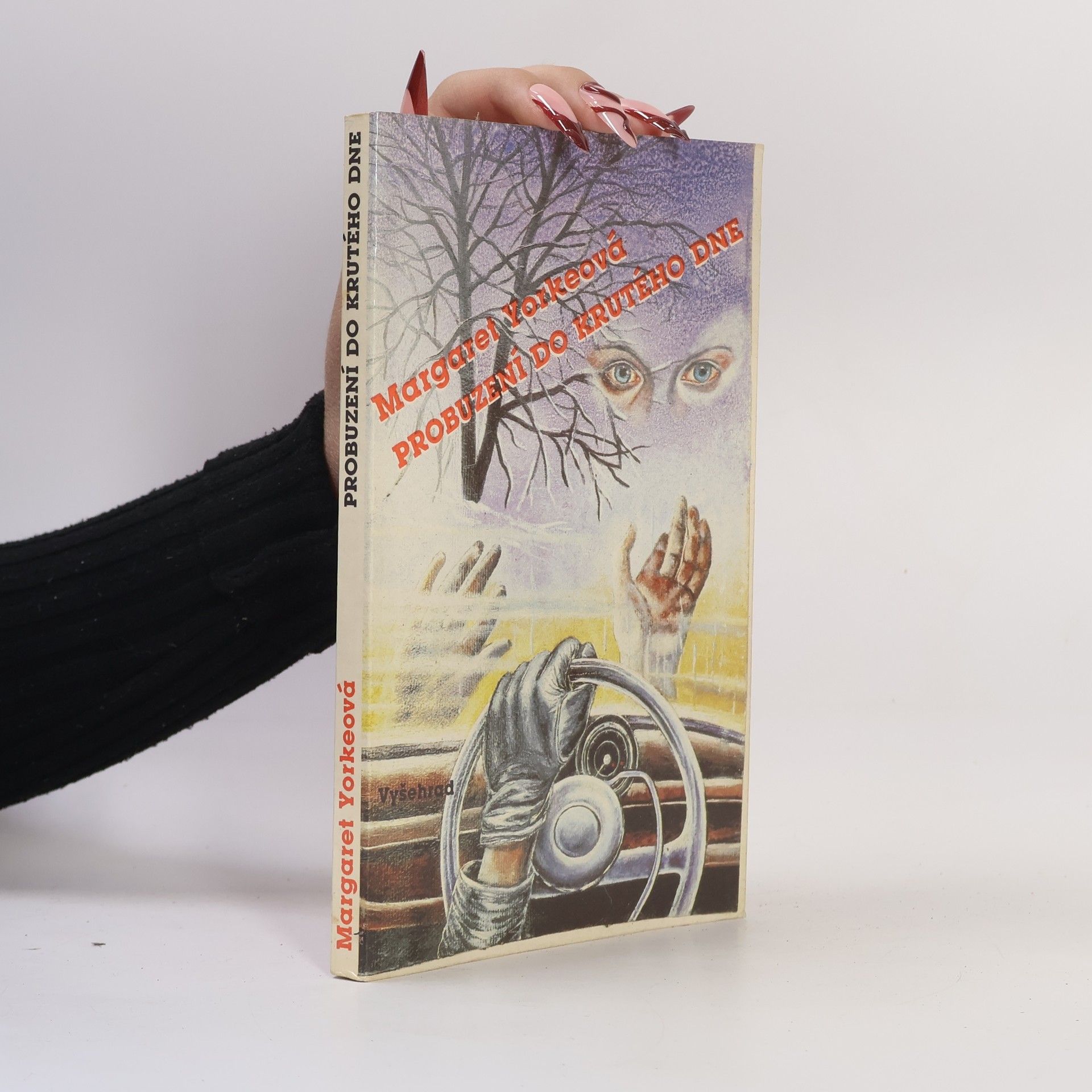 Probuzení do krutého dne