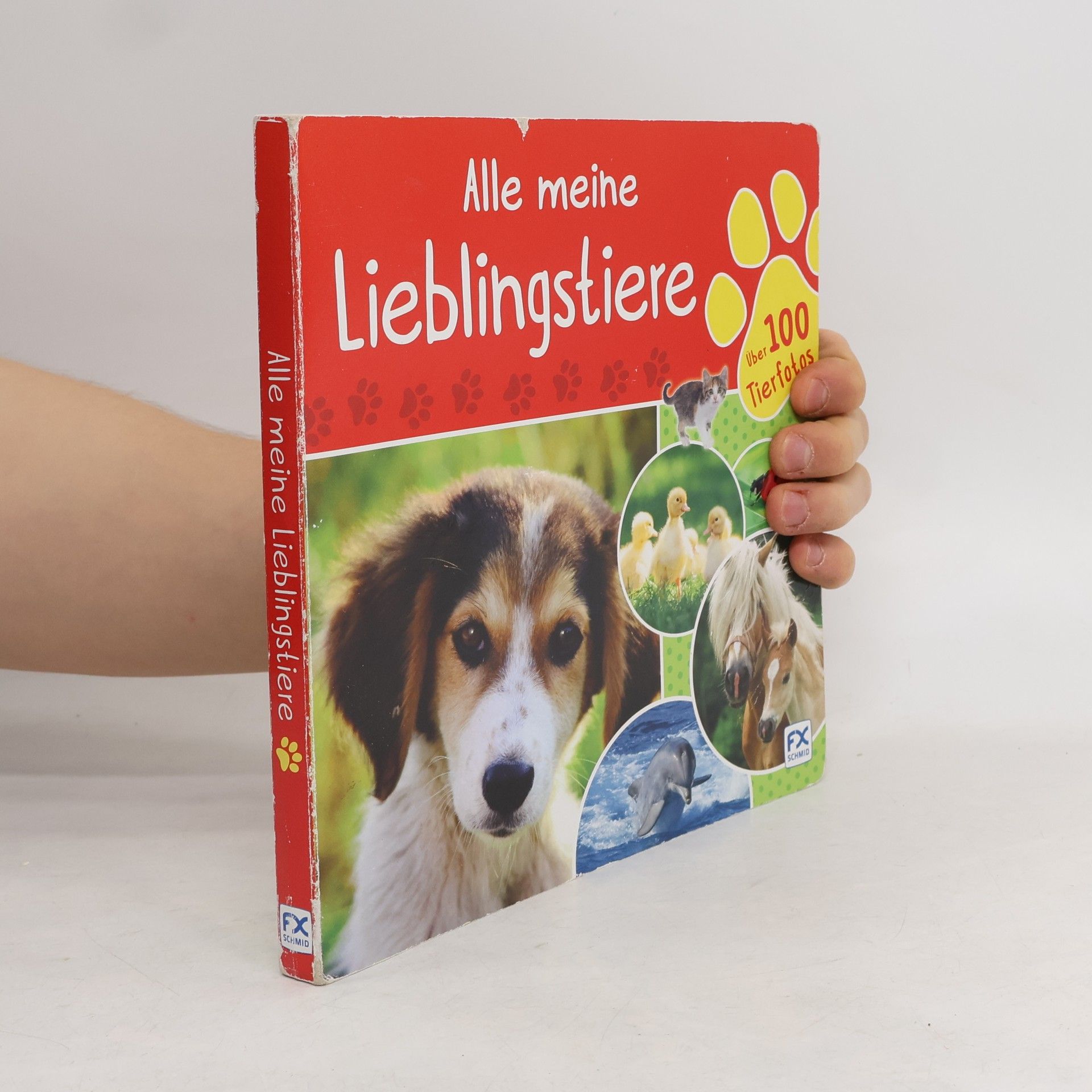 Autorenkollektiv Alle meine Lieblingstiere