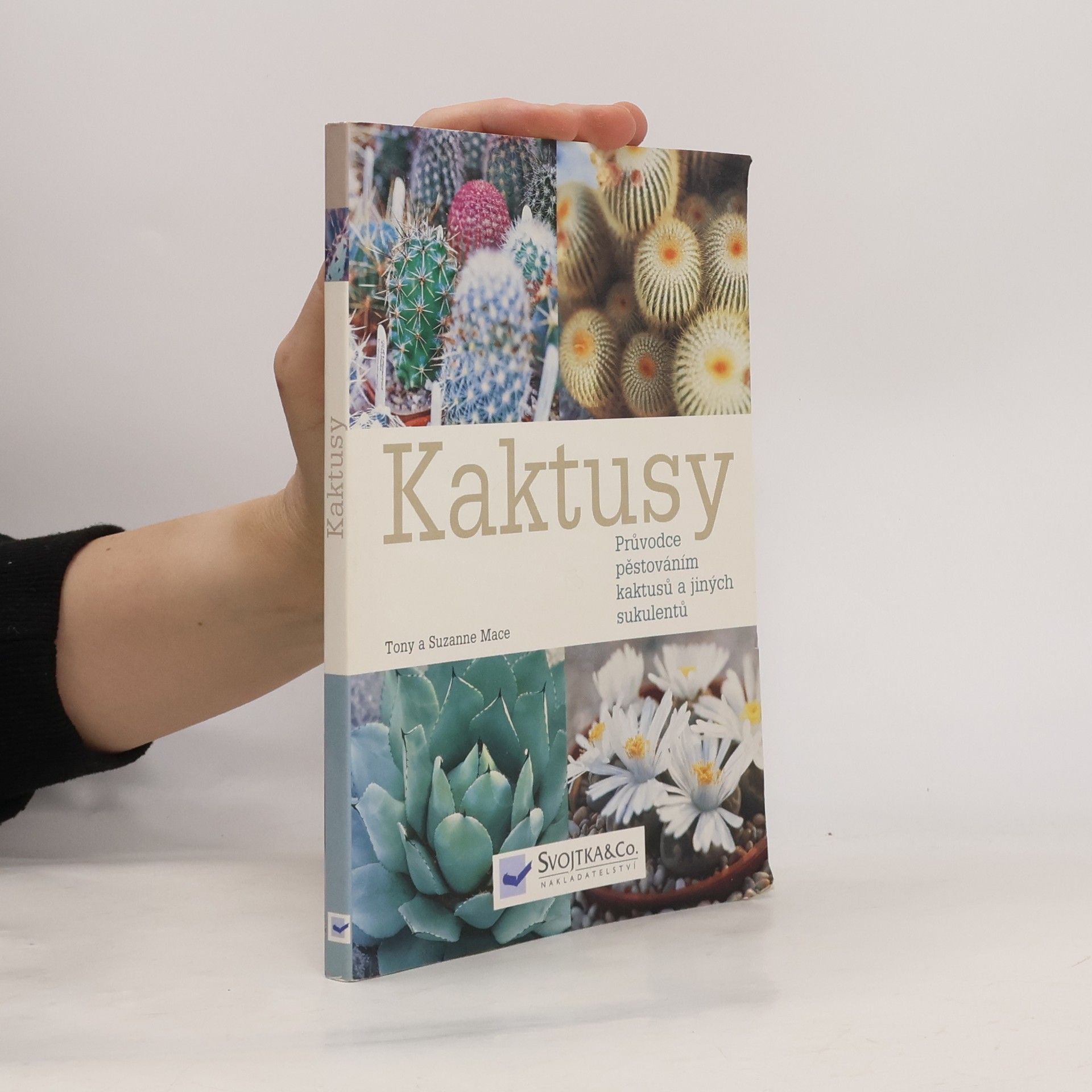 Suzanne Mace Kaktusy : průvodce pěstováním kaktusů a jiných sukulentů