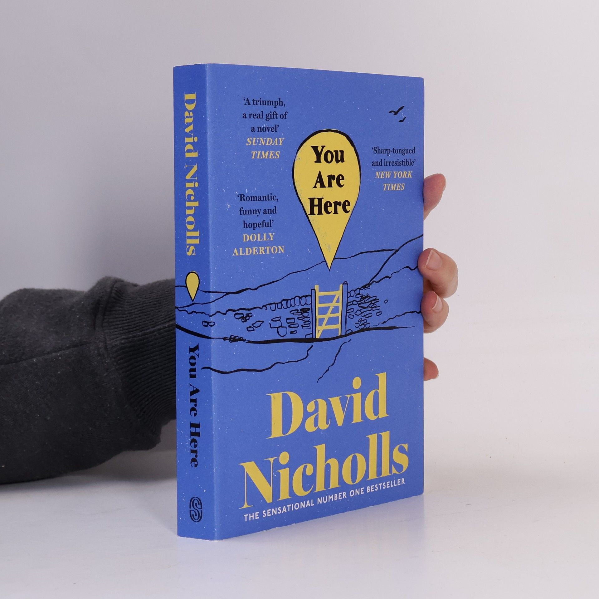David Nicholls You Are Here