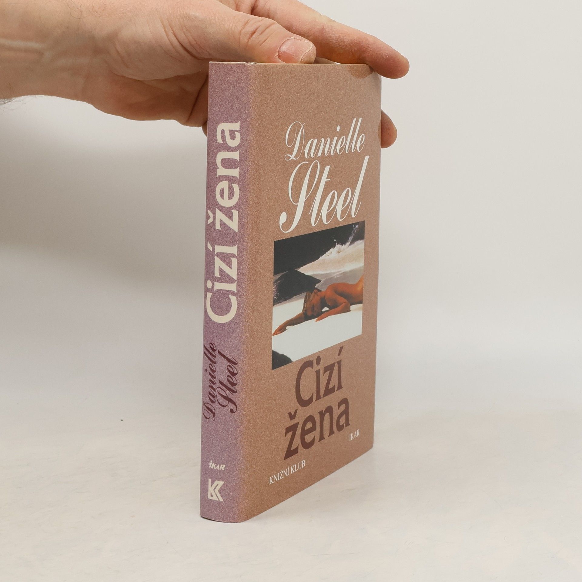 Danielle Steel Cizí žena