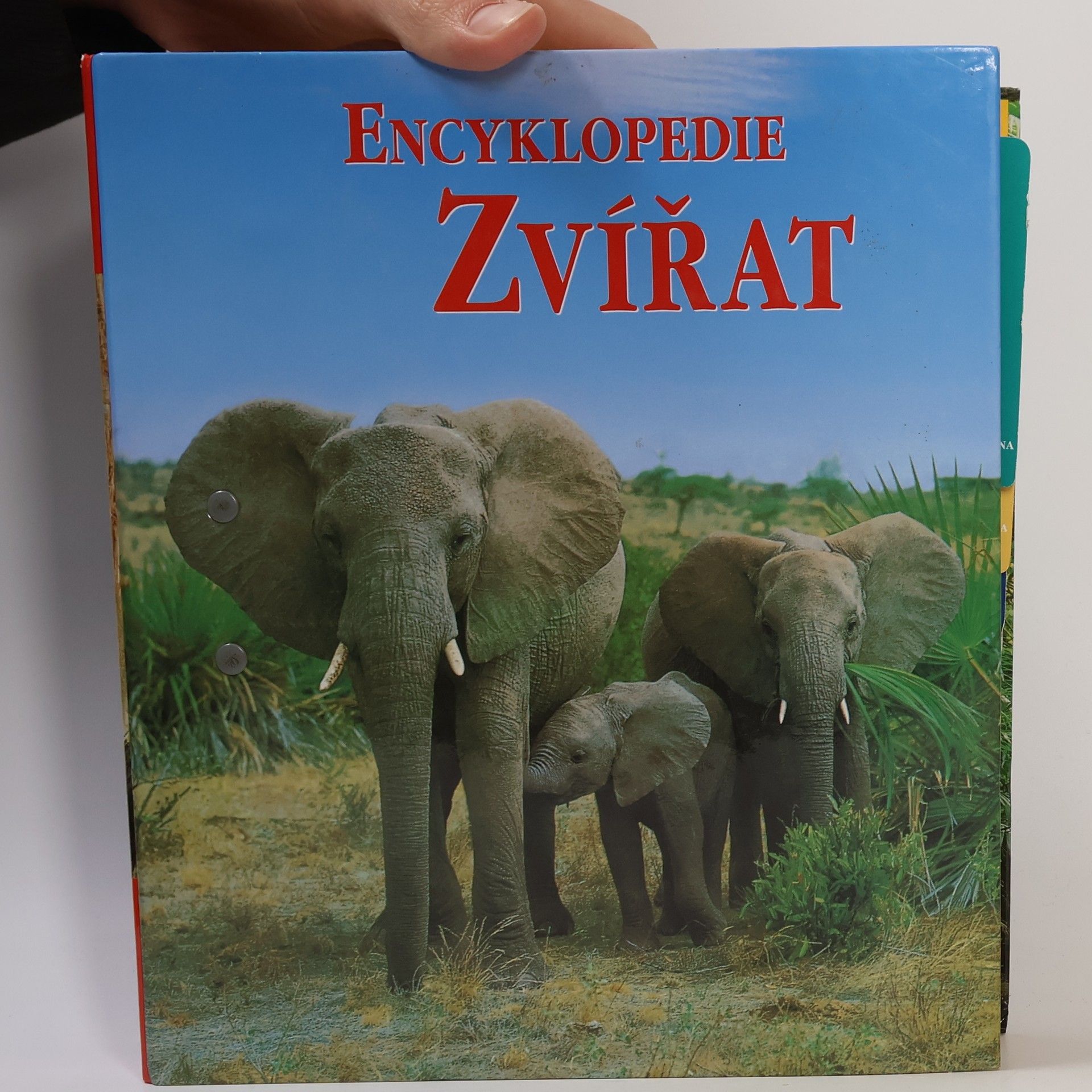 Kolektív autorov Encyklopedie zvířat