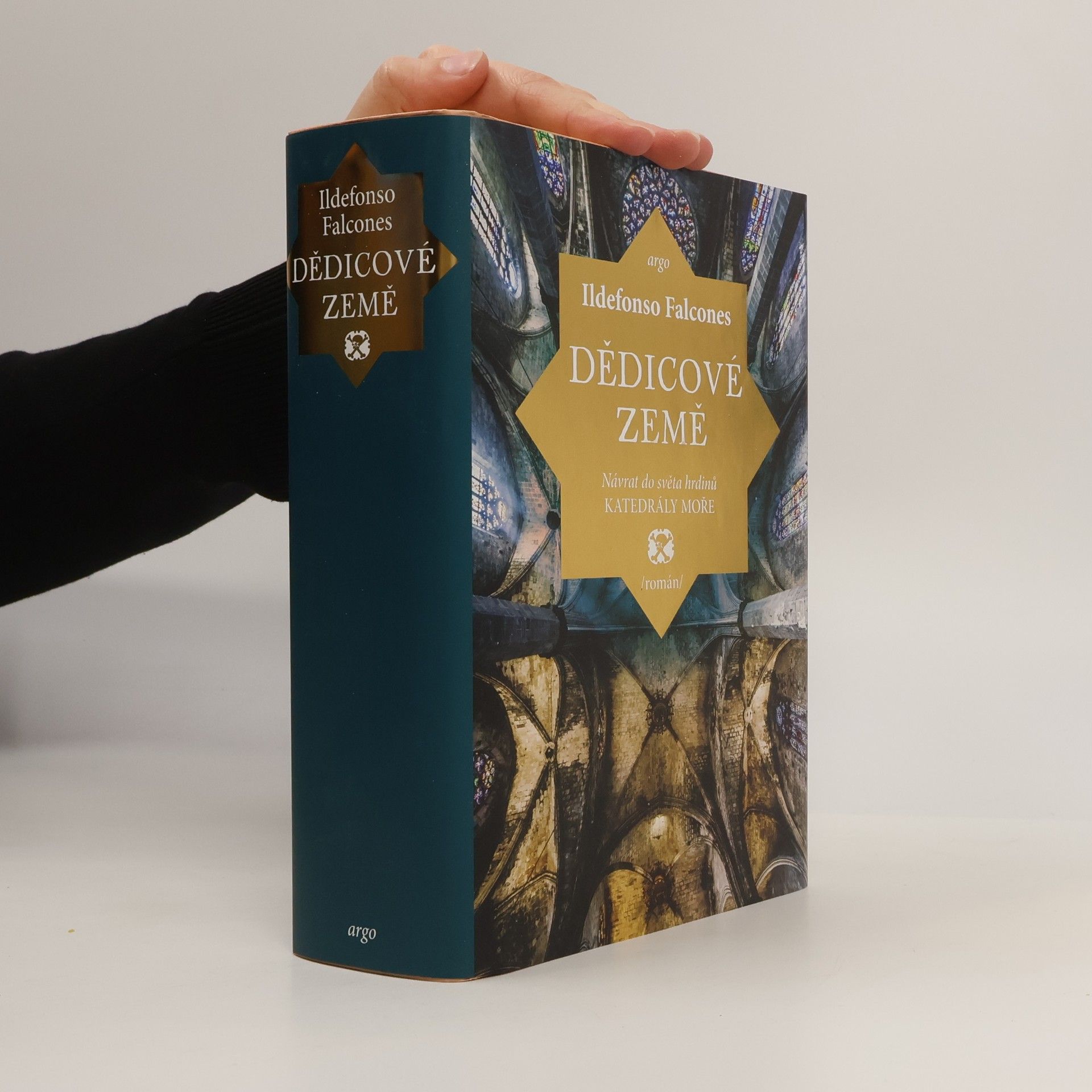 Ildefonso Falcones Dědicové země