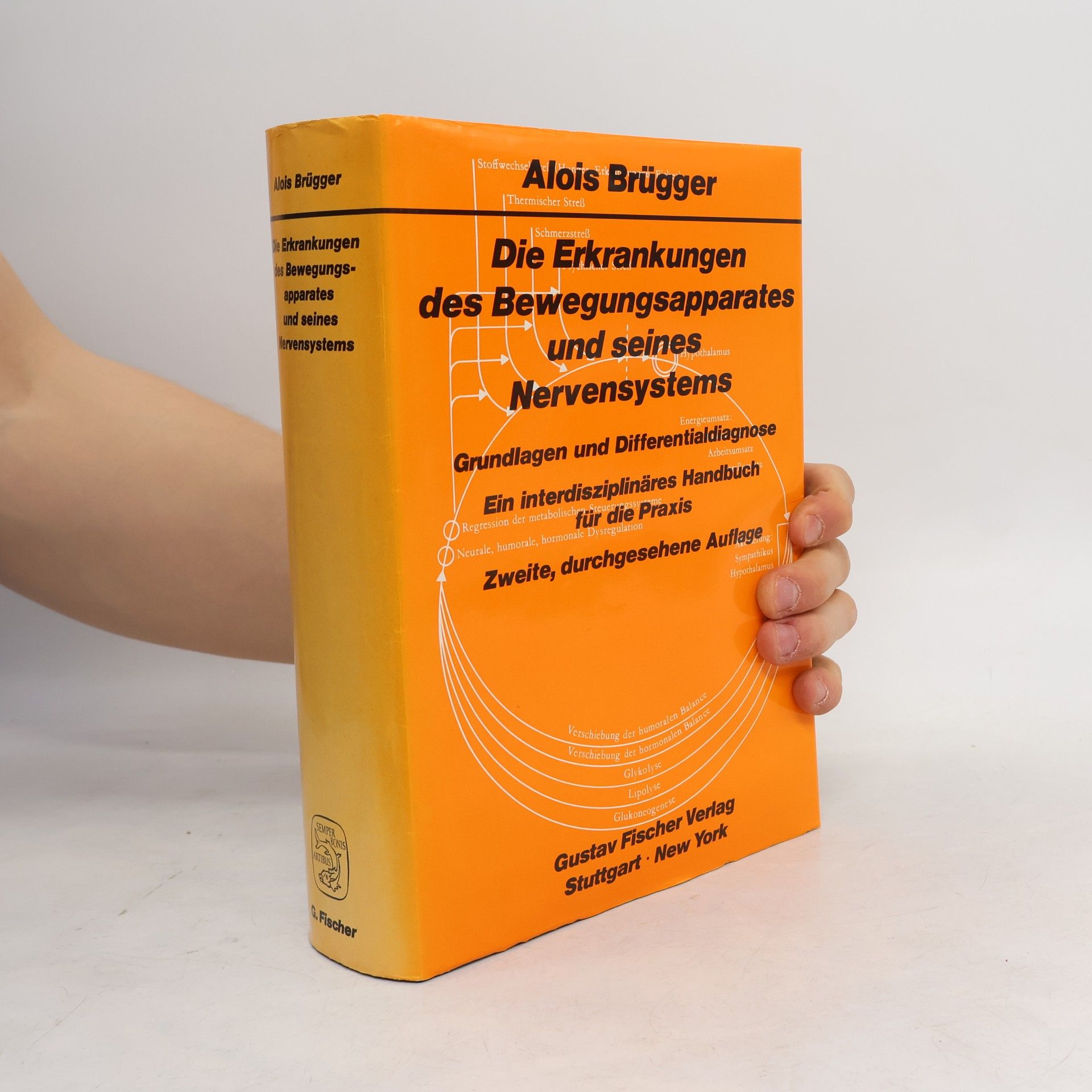 Alois Brügger Die Erkrankungen des Bewegungsapparates und seines Nervensystems