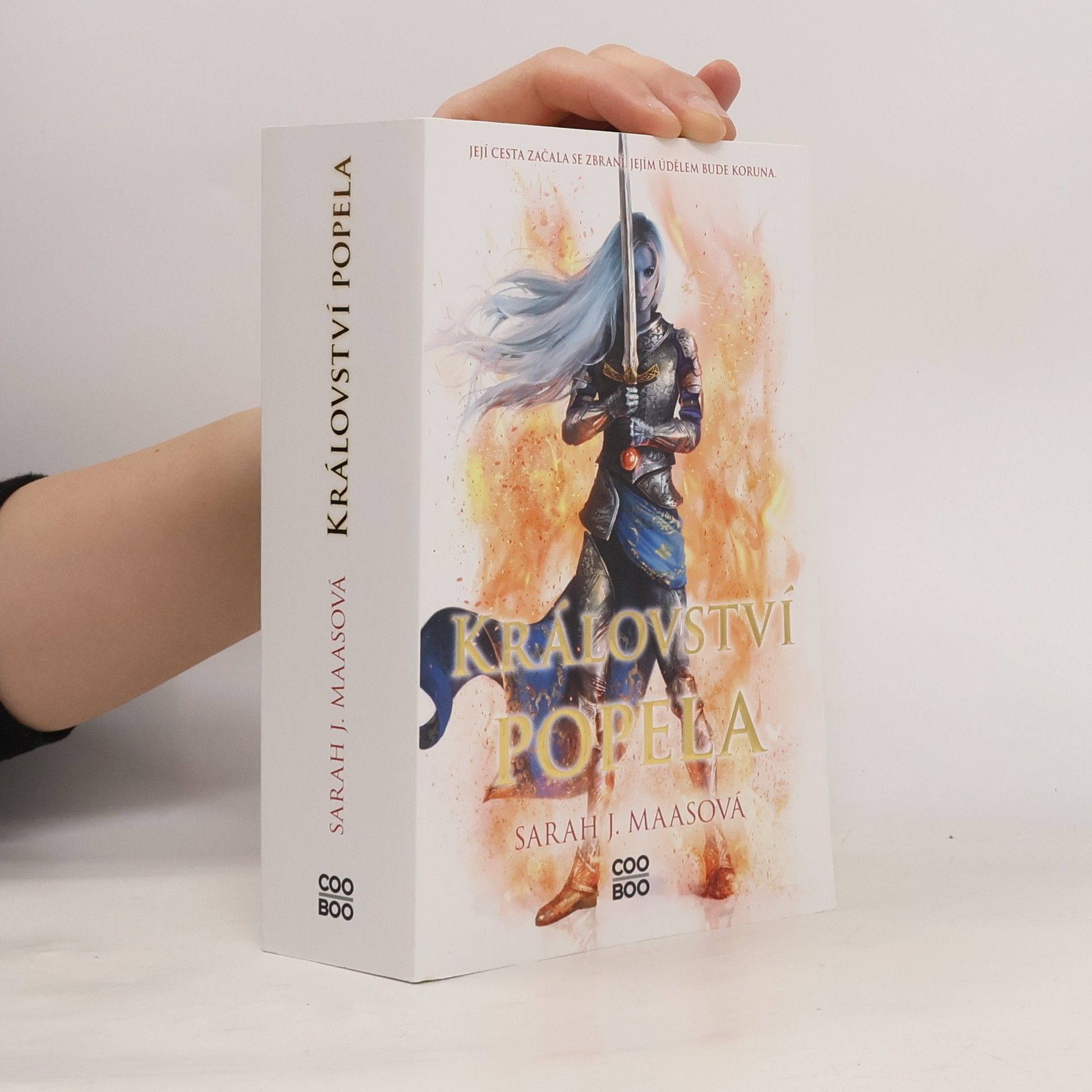 Sarah J. Maas Království popela