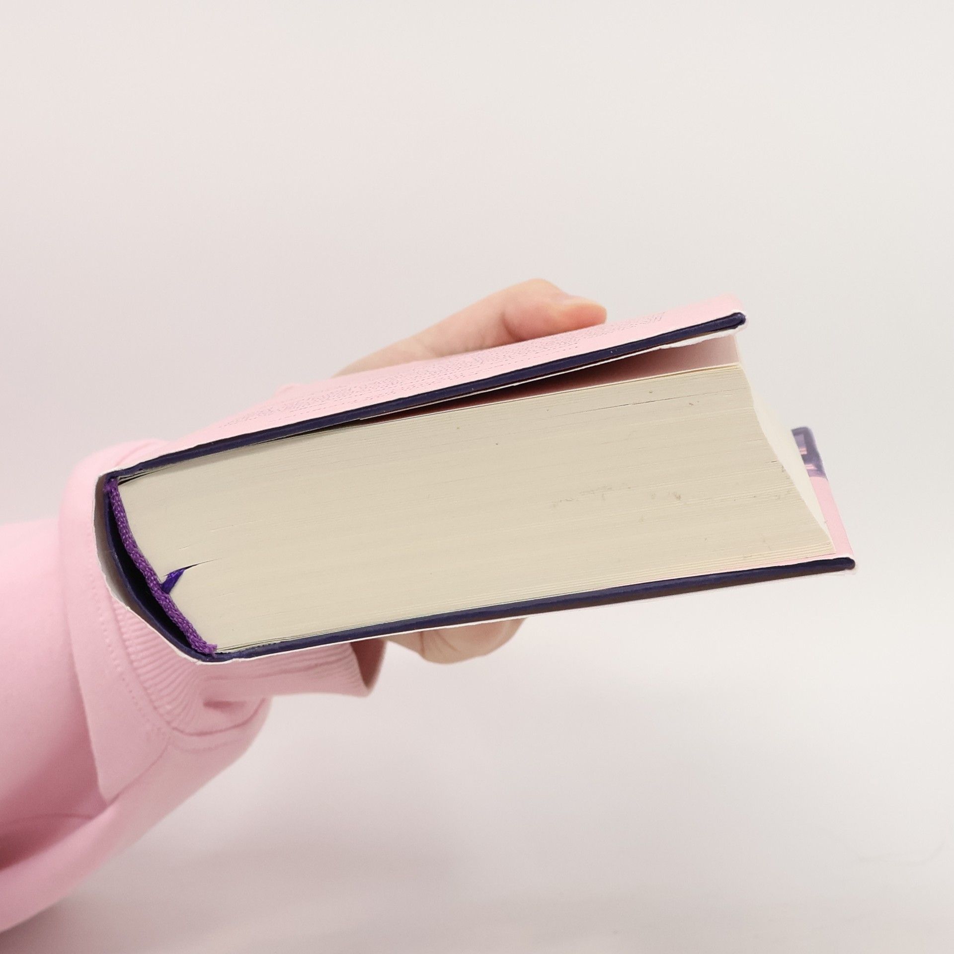 Elena Ferrante Die Geschichte eines neuen Namens: Jugendjahre