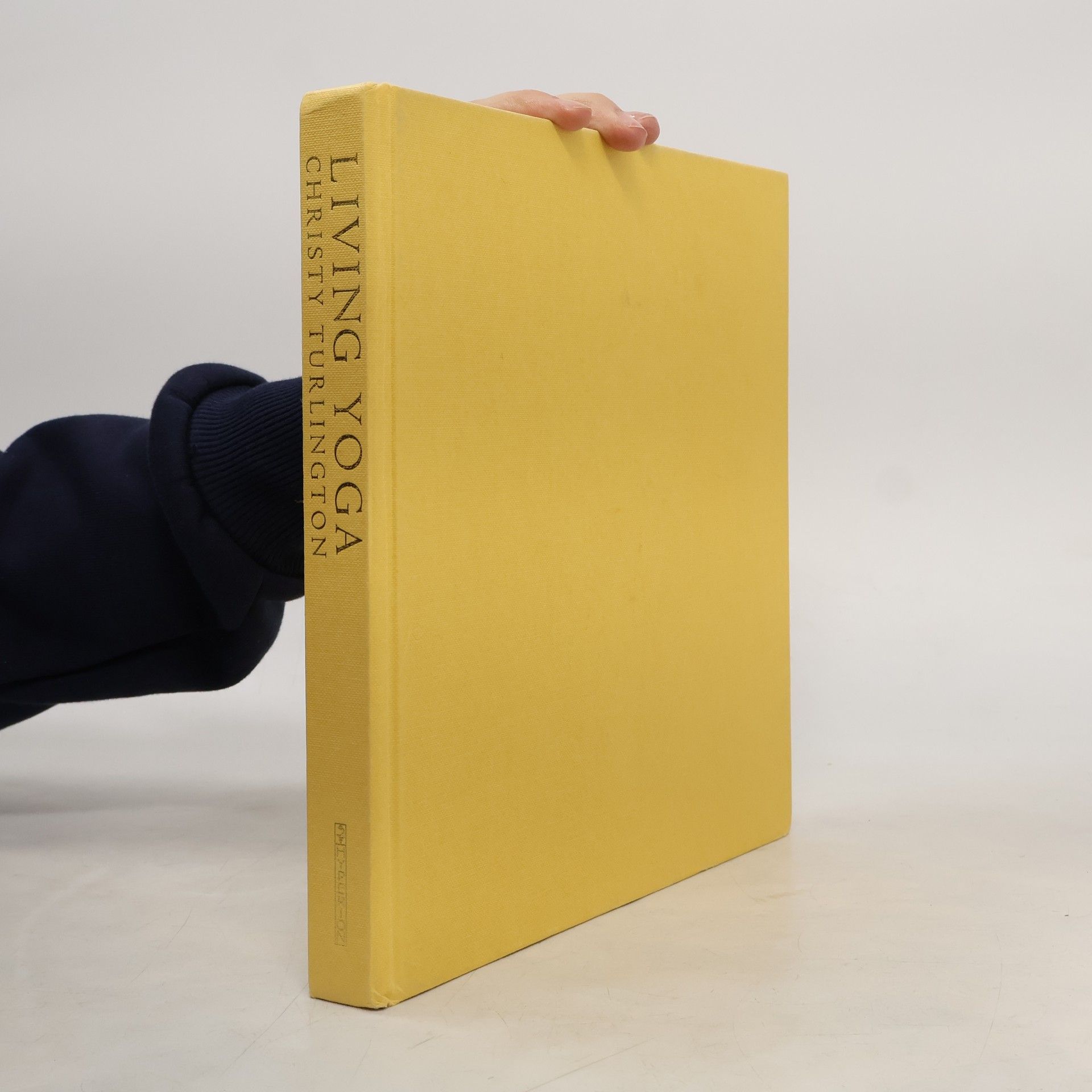 Christy Turlington Living Yoga