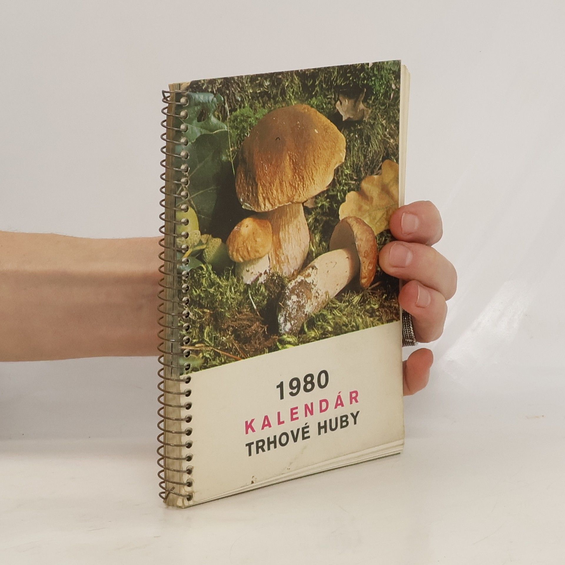Autorenkollektiv 1980 Kalendár. Trhové huby