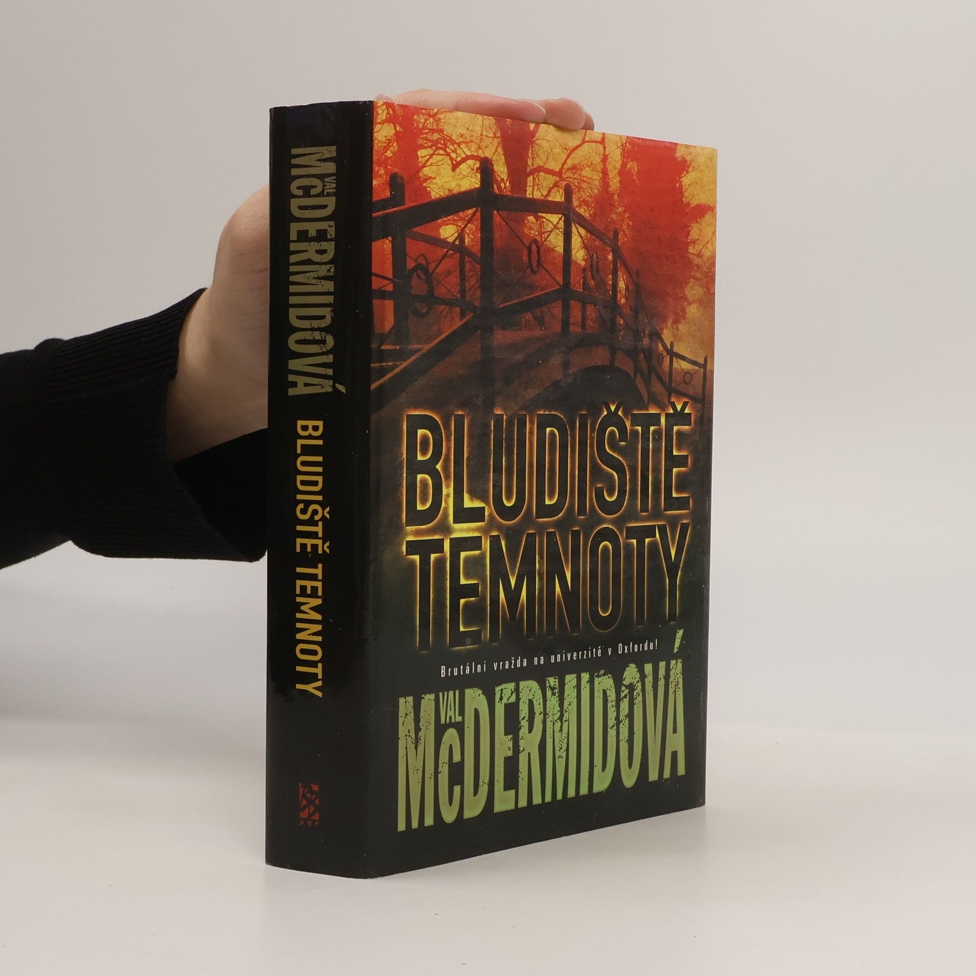 Val McDermid Bludiště temnoty