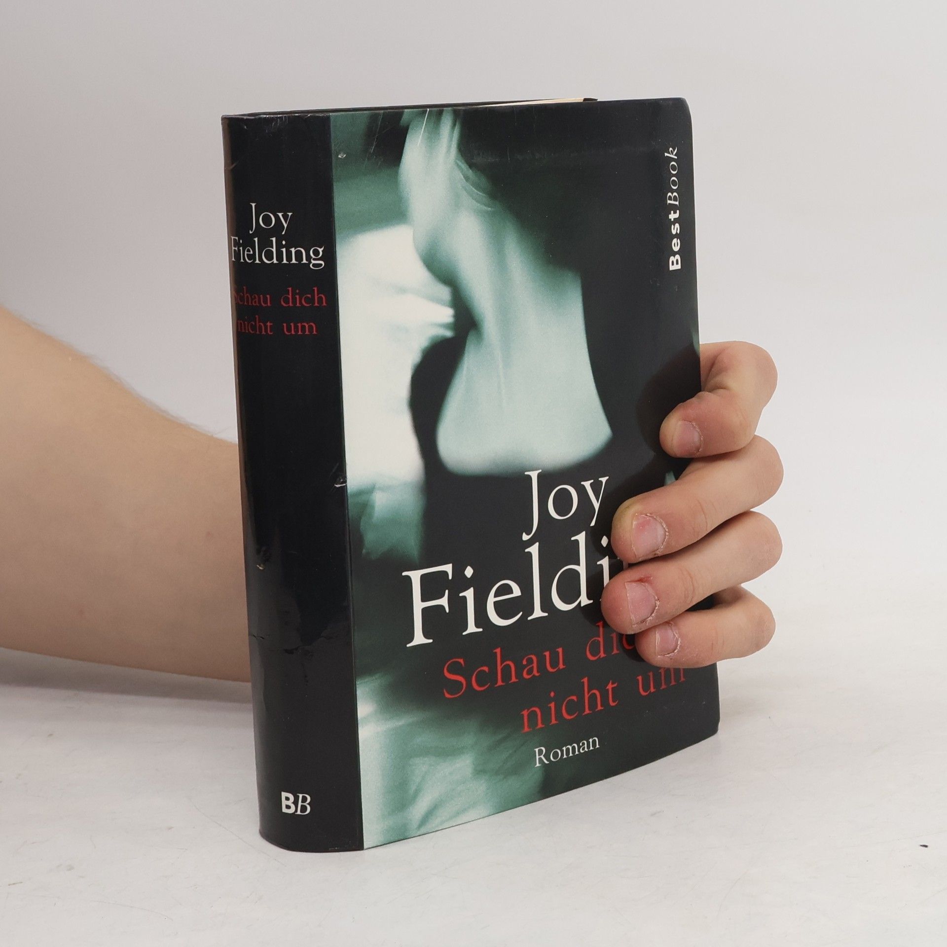 Joy Fielding Schau dich nicht um