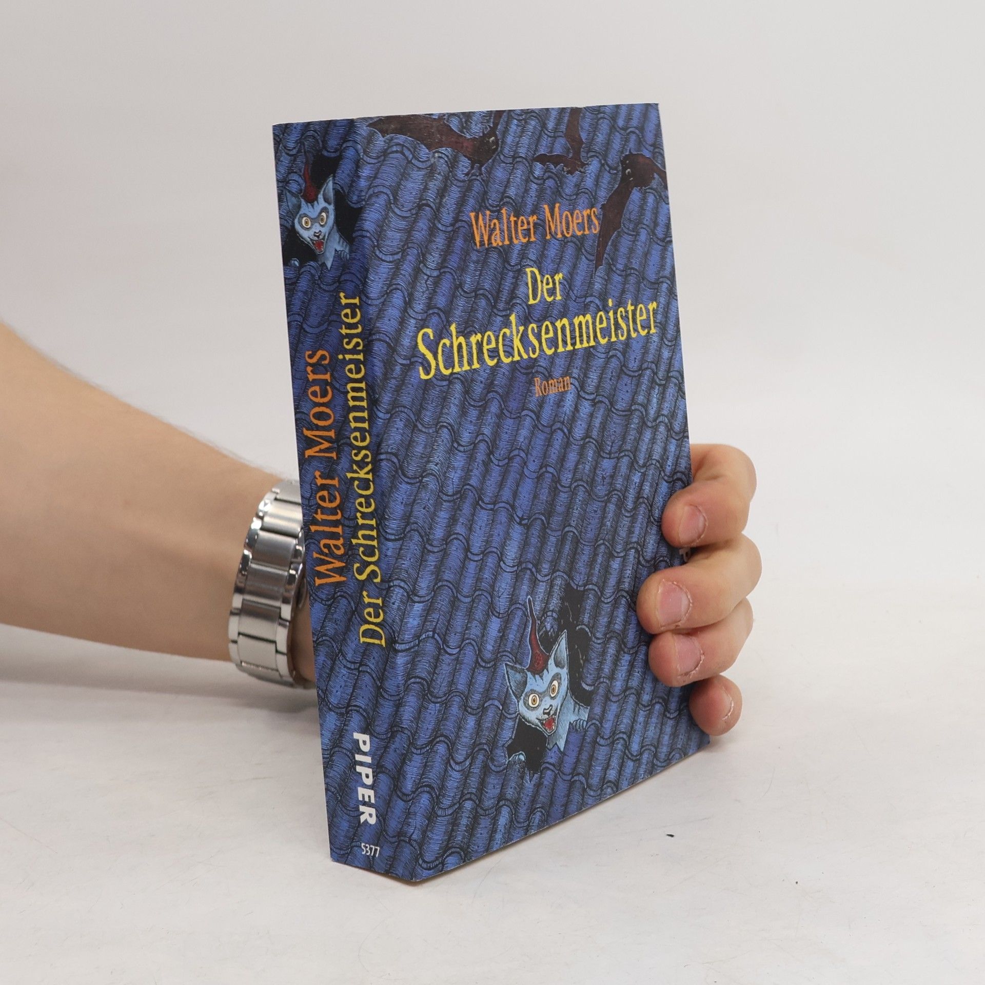Walter Moers Der Schrecksenmeister