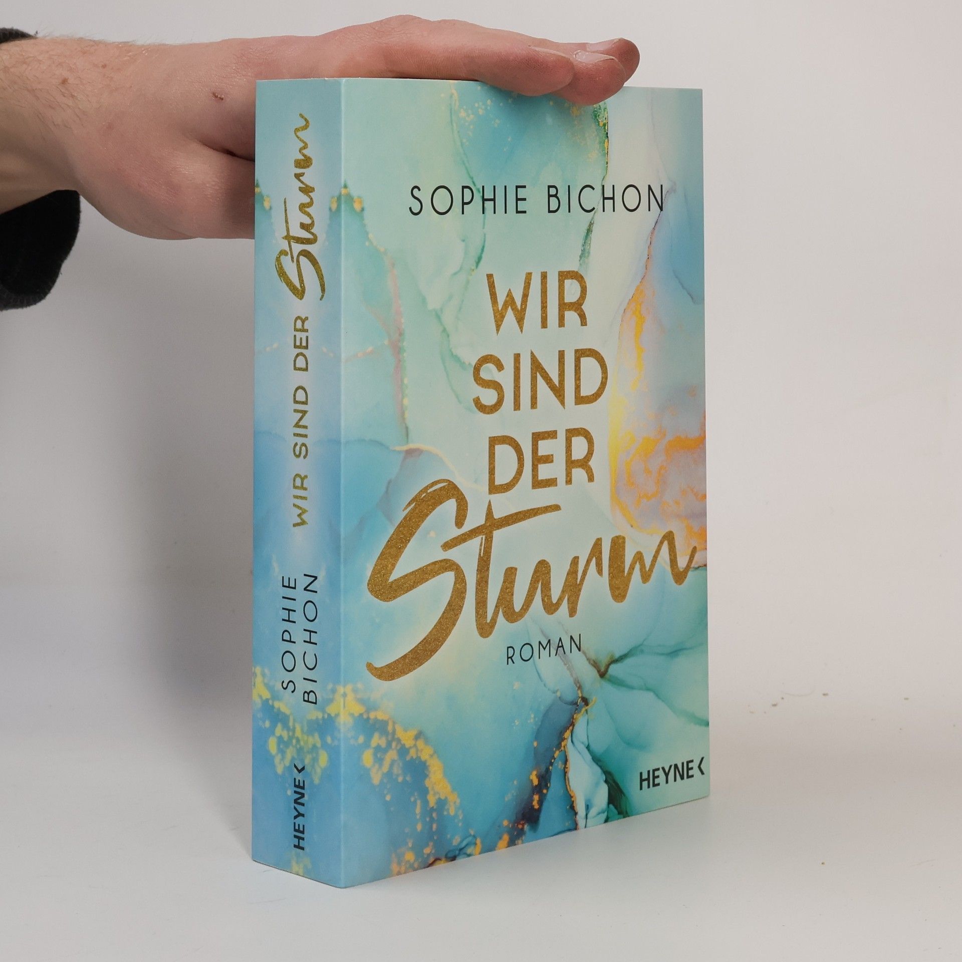 Sophie Bichon Redstone-Reihe 2. Wir sind der Sturm
