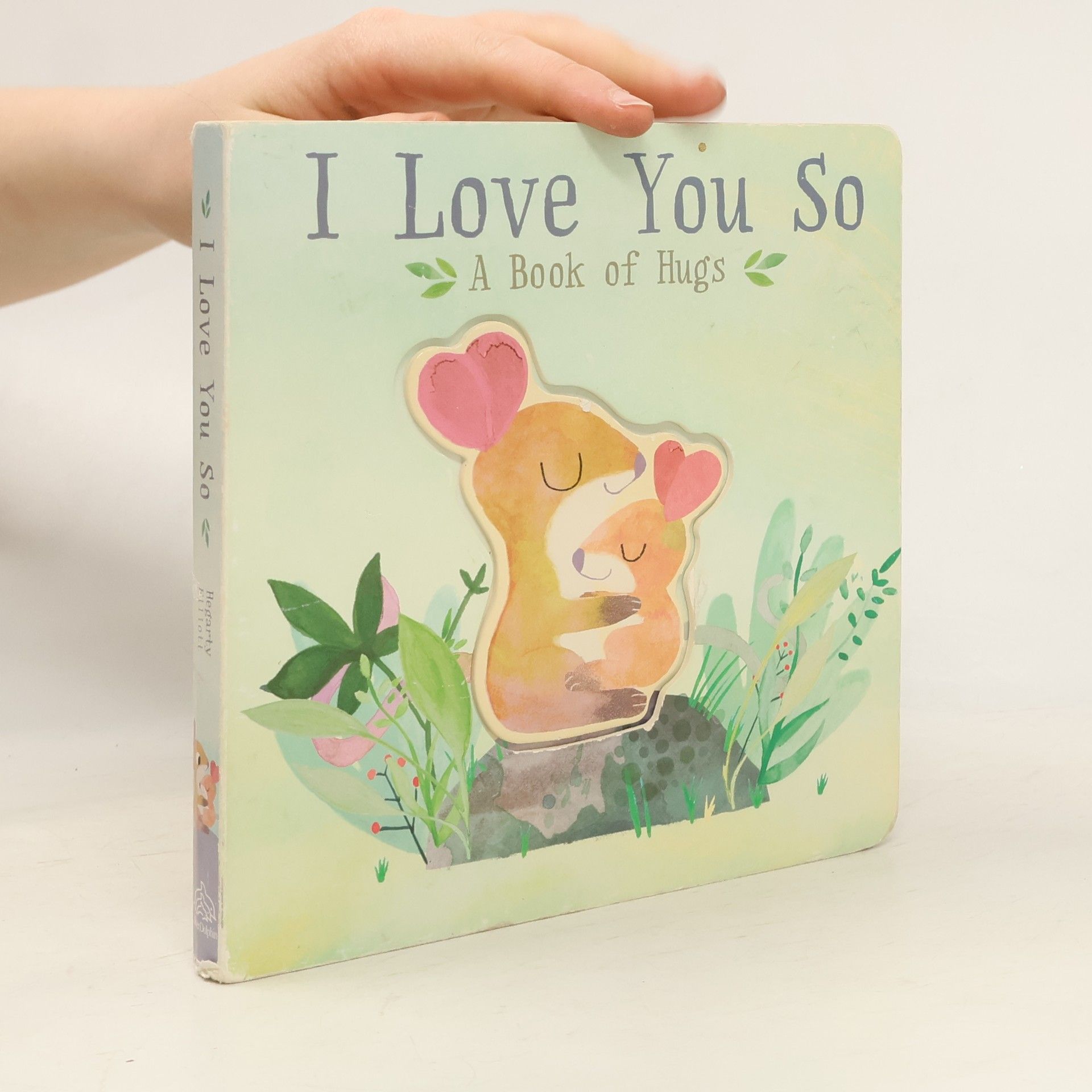 I Love You So: A Book of Hugs