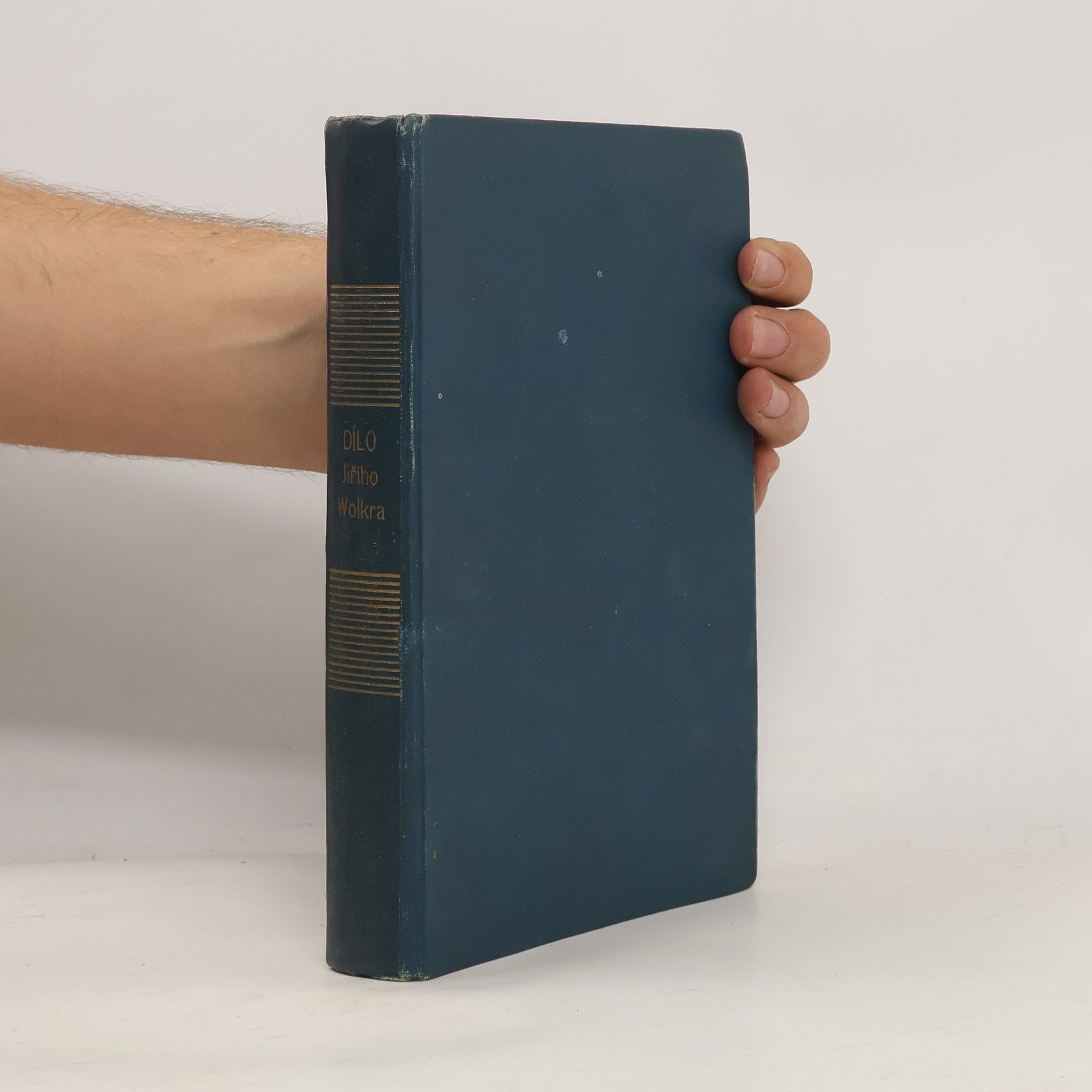 Dílo Jiřího Wolkra: Mladistvé práce a zlomky