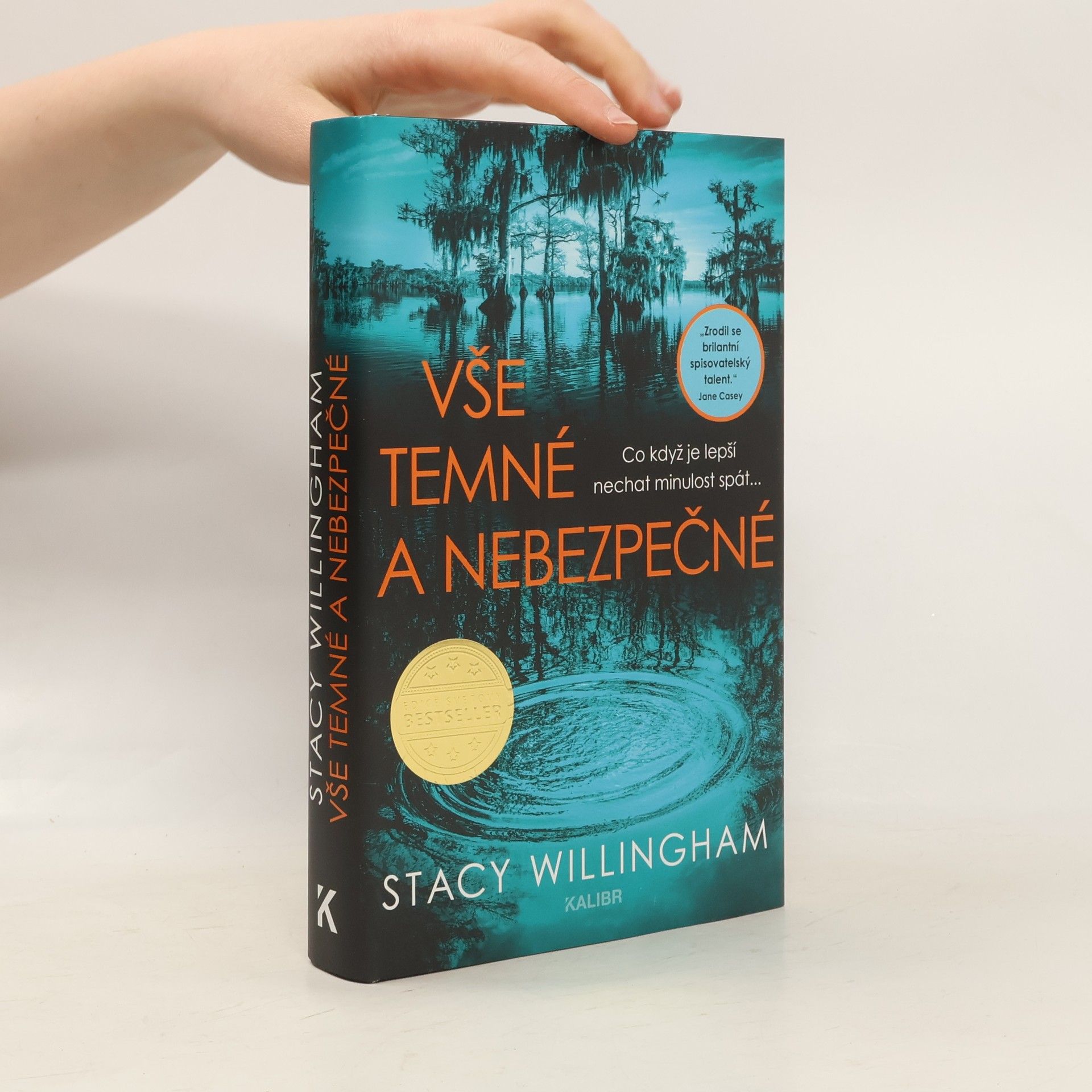 Stacy Willingham Vše temné a nebezpečné