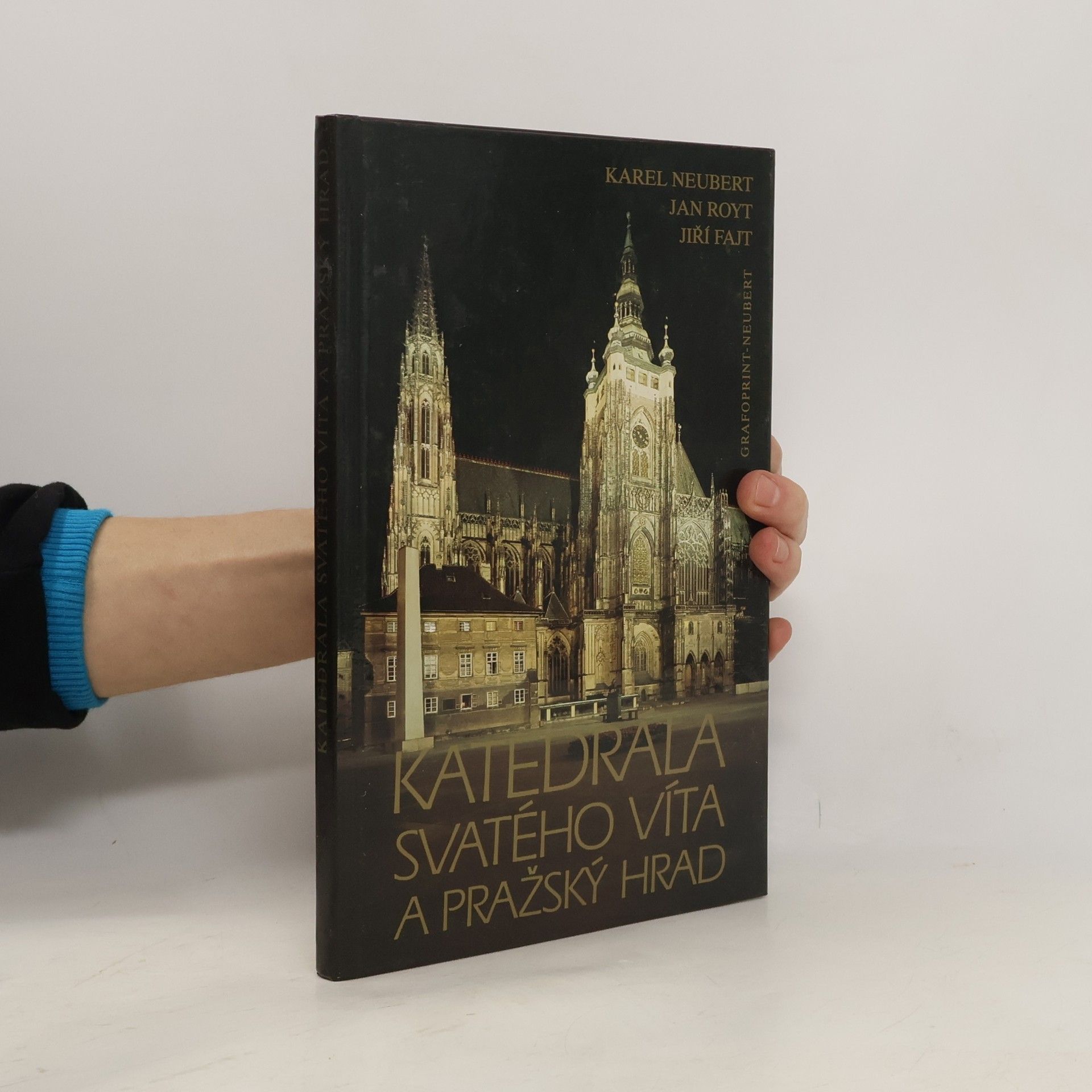 Jan Royt Katedrála svatého Víta a Pražský hrad
