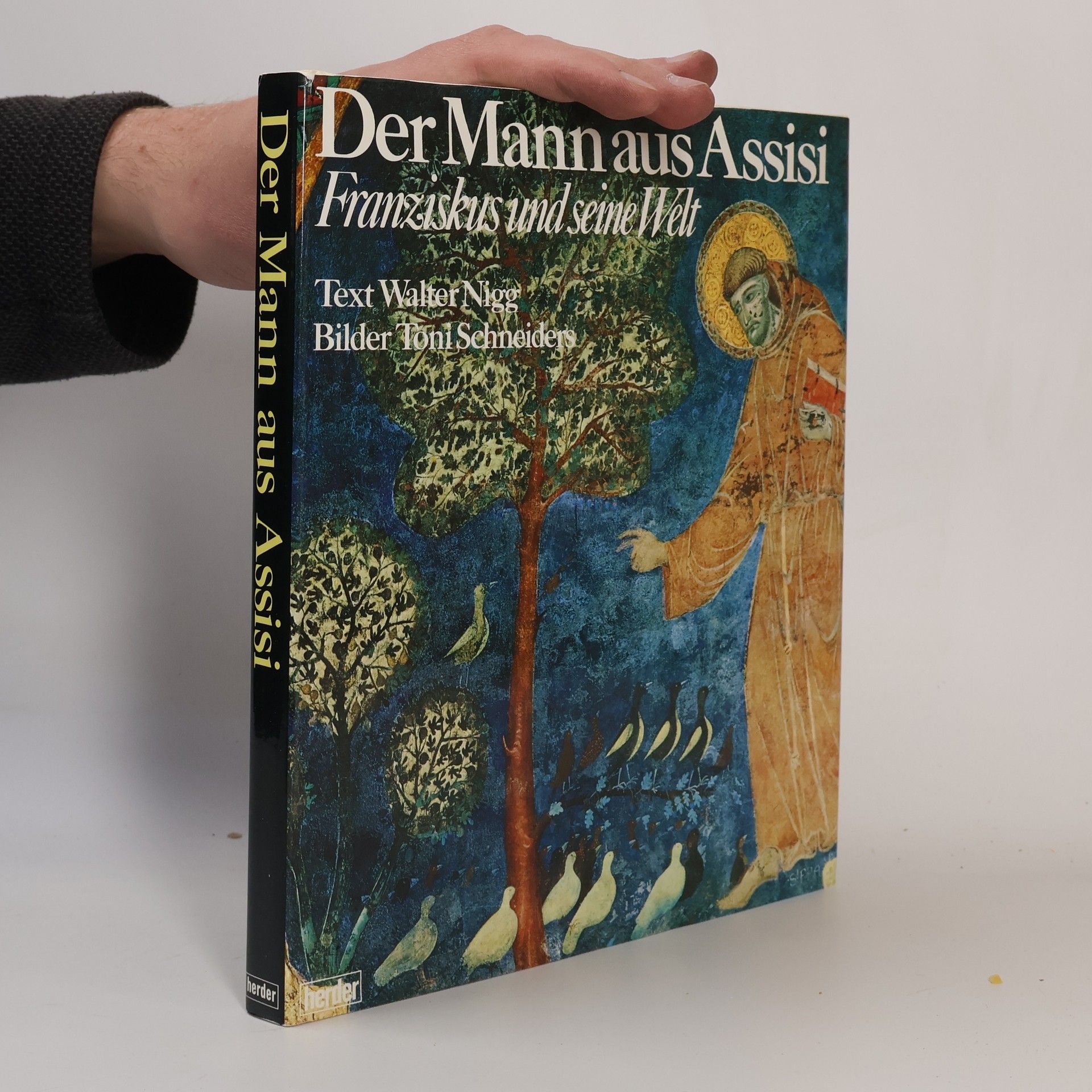 Auteurscollectief Der Mann aus Assisi : Franziskus u. seine Welt