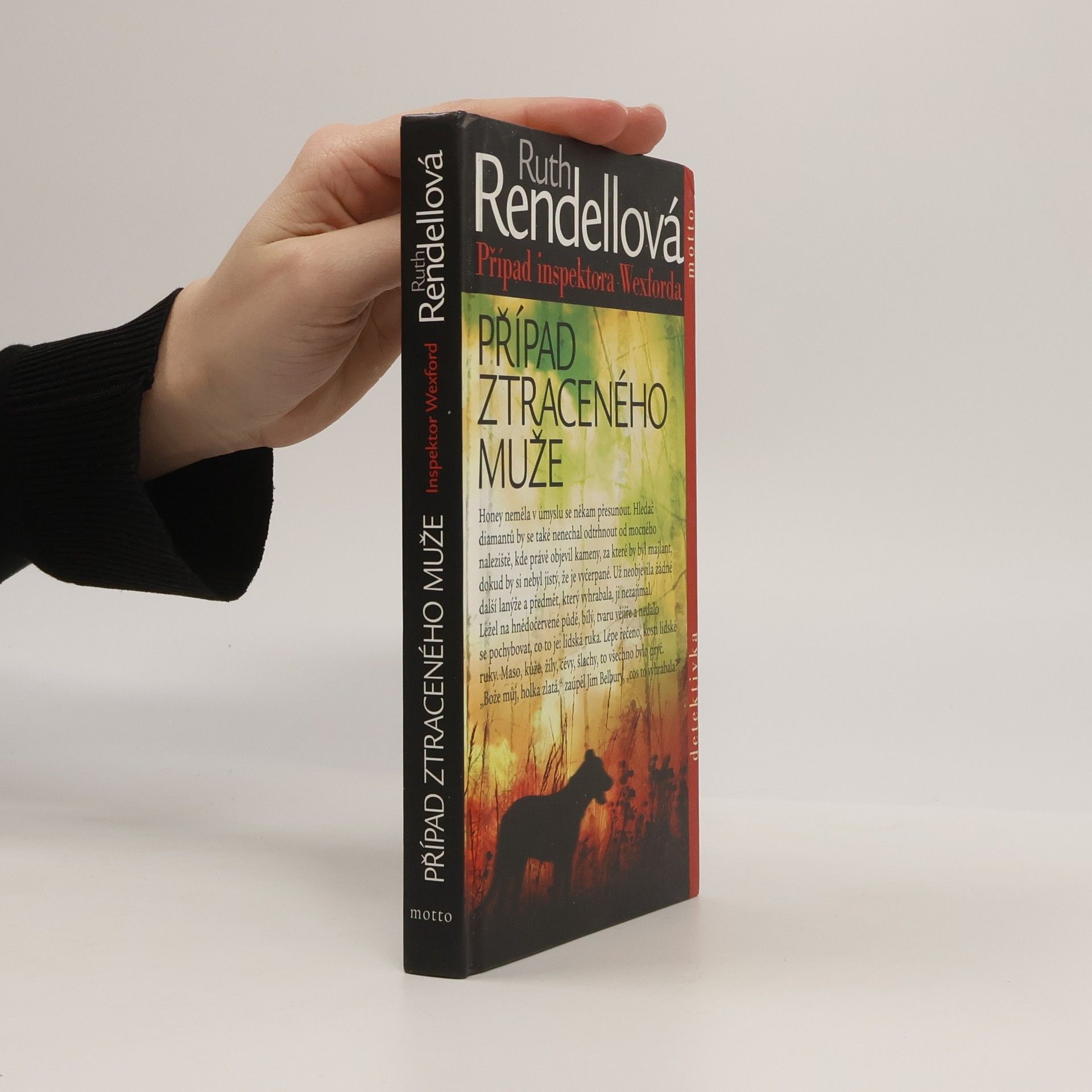 Ruth Rendell Případ ztraceného muže