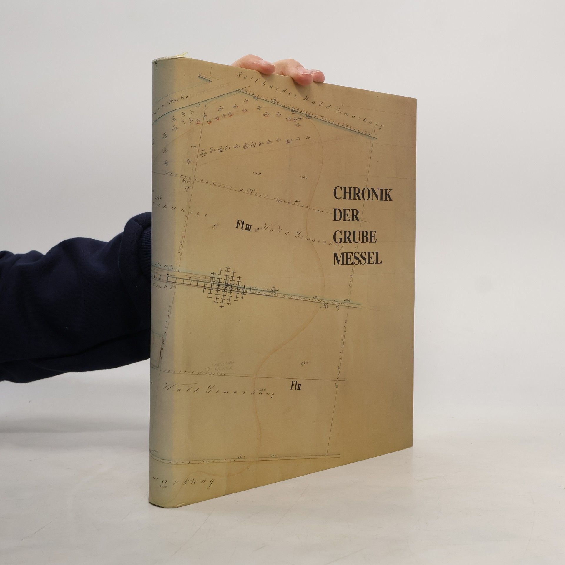 Chronik der Grube Messel