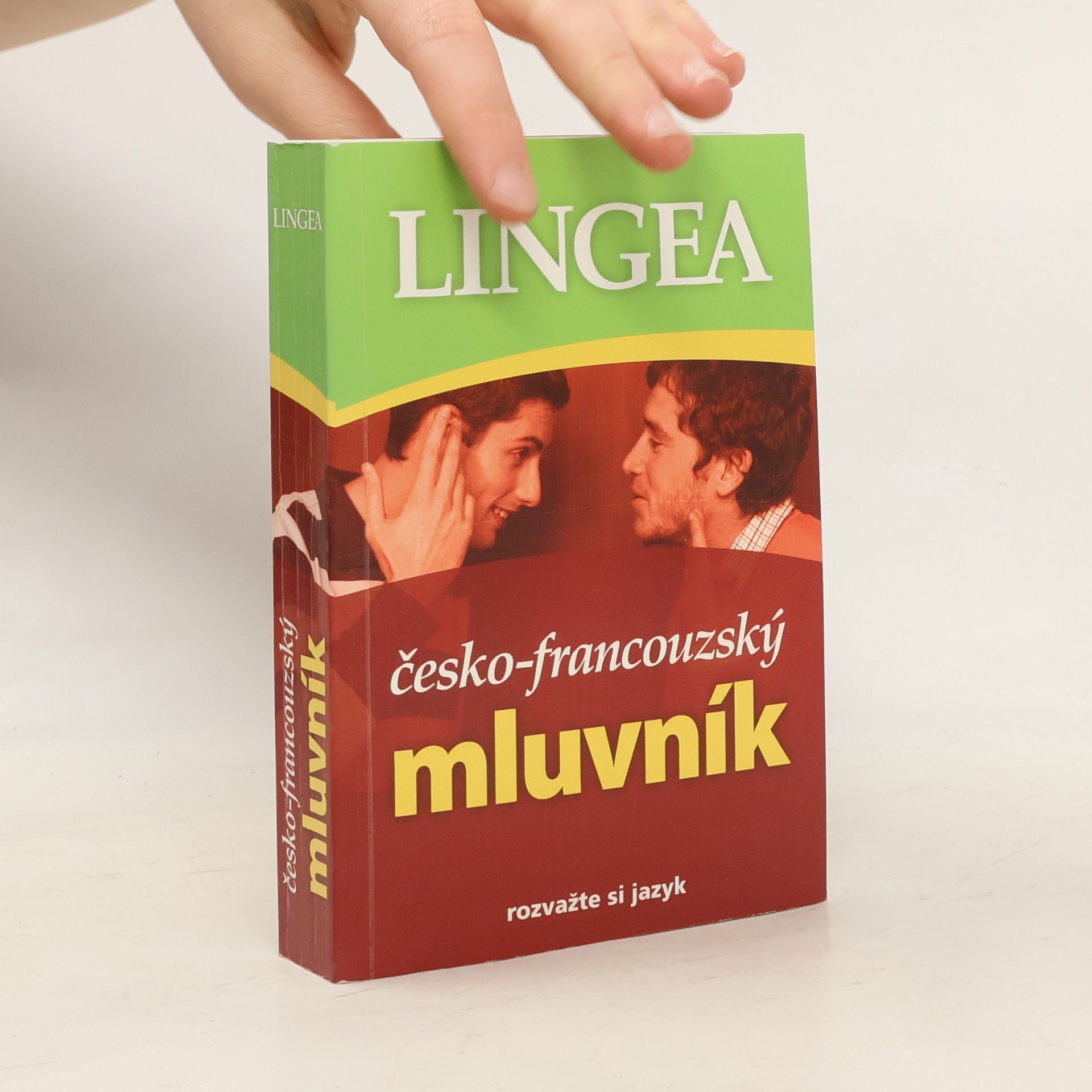 Autorenkollektiv Česko-francouzský mluvník