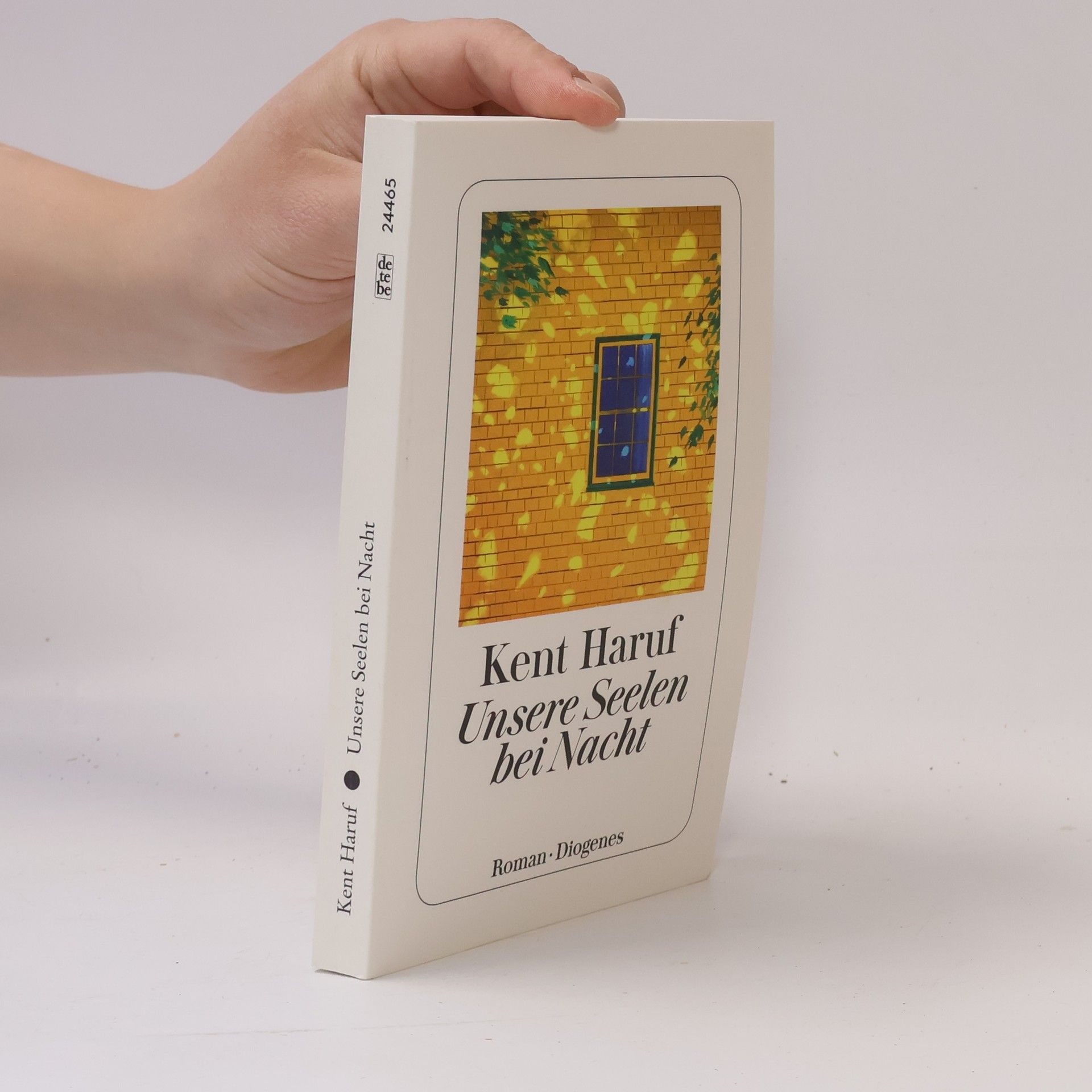 Kent Haruf Unsere Seelen bei Nacht