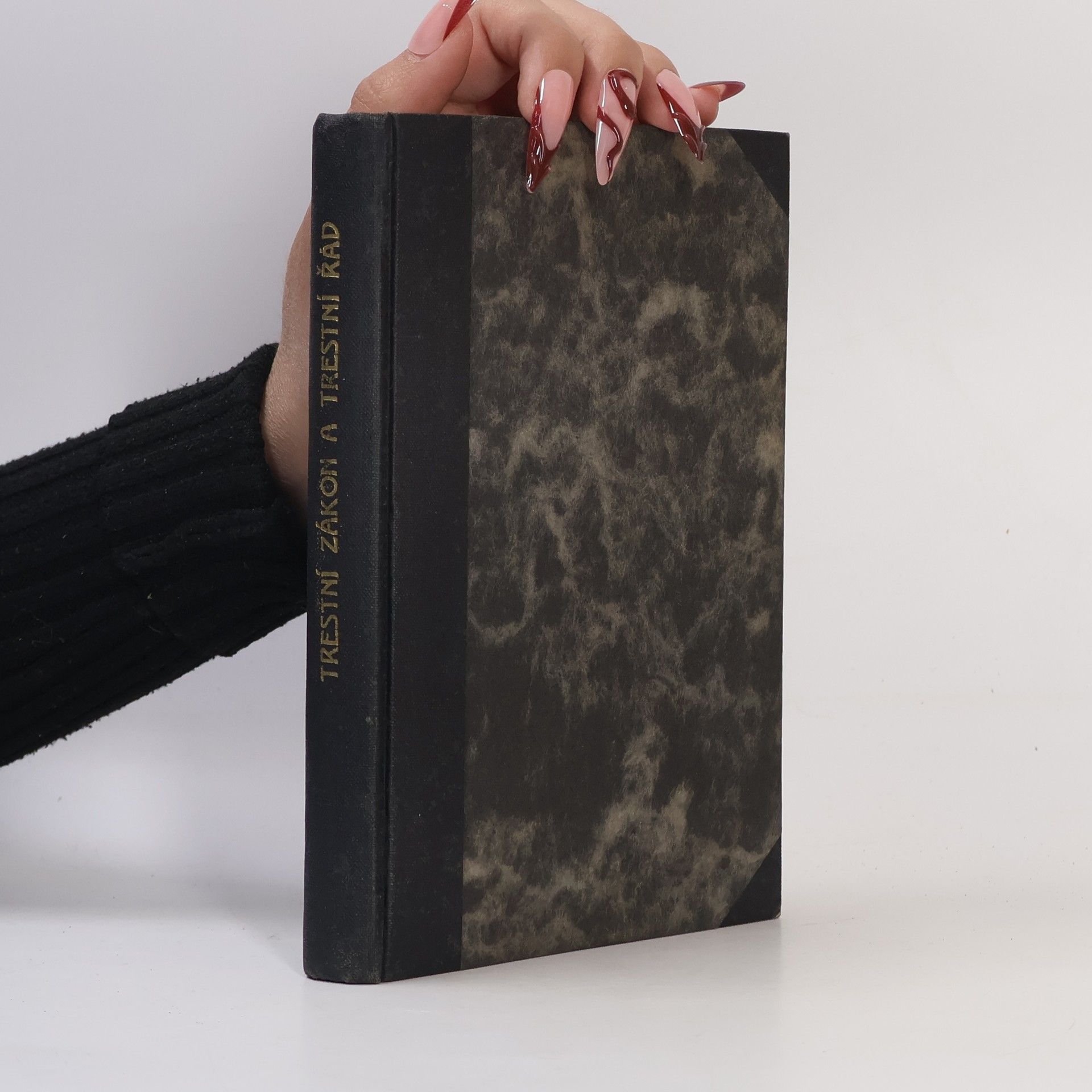 Autorenkollektiv Trestní zákon a Trestní řád.