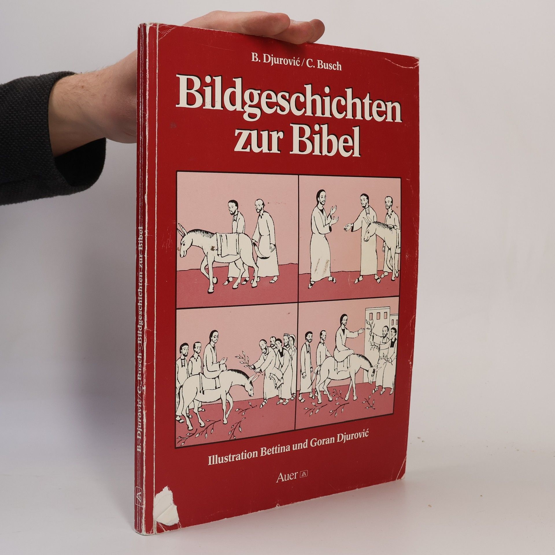 Bettina Djurovic Bildgeschichten zur Bibel