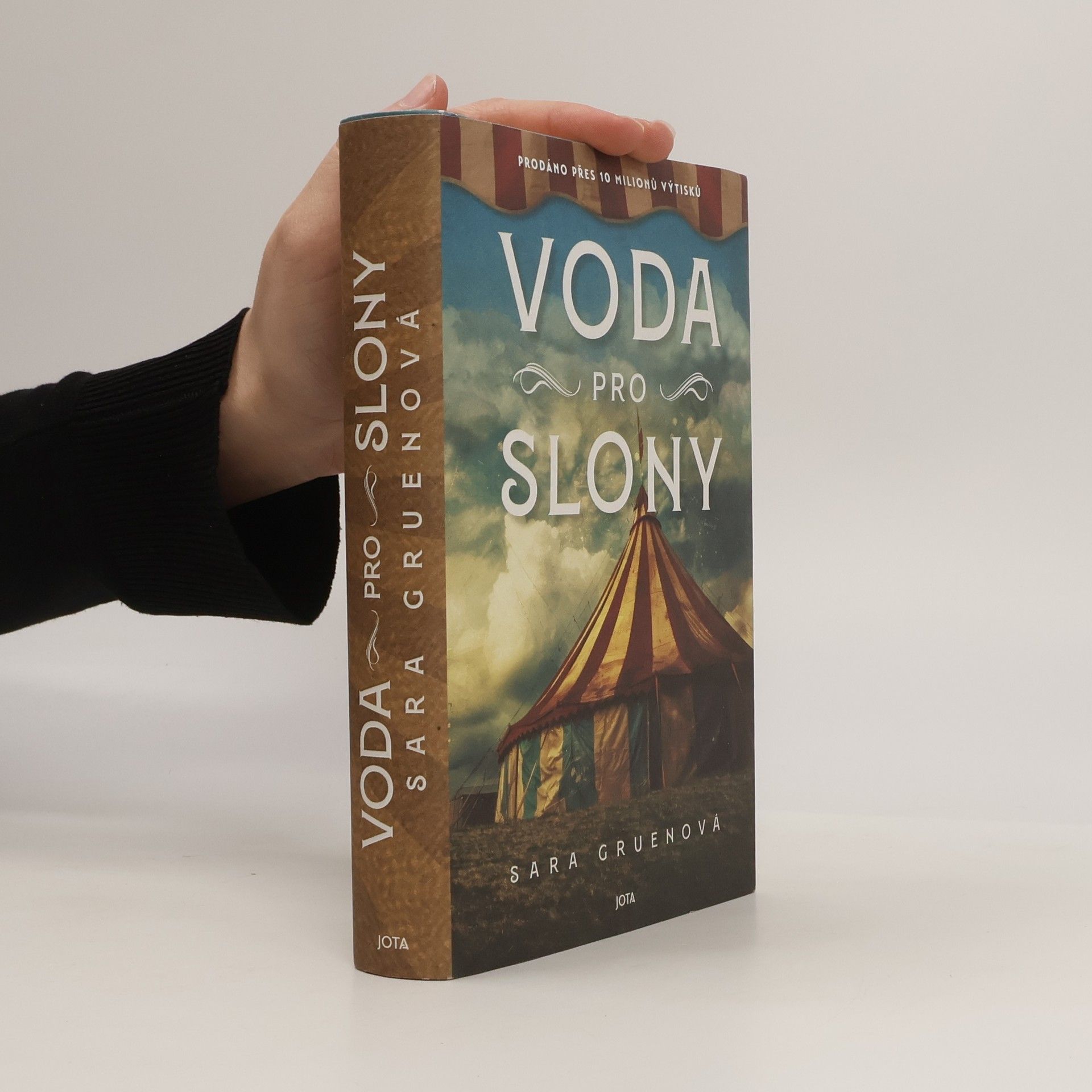 Sara Gruen Voda pro slony