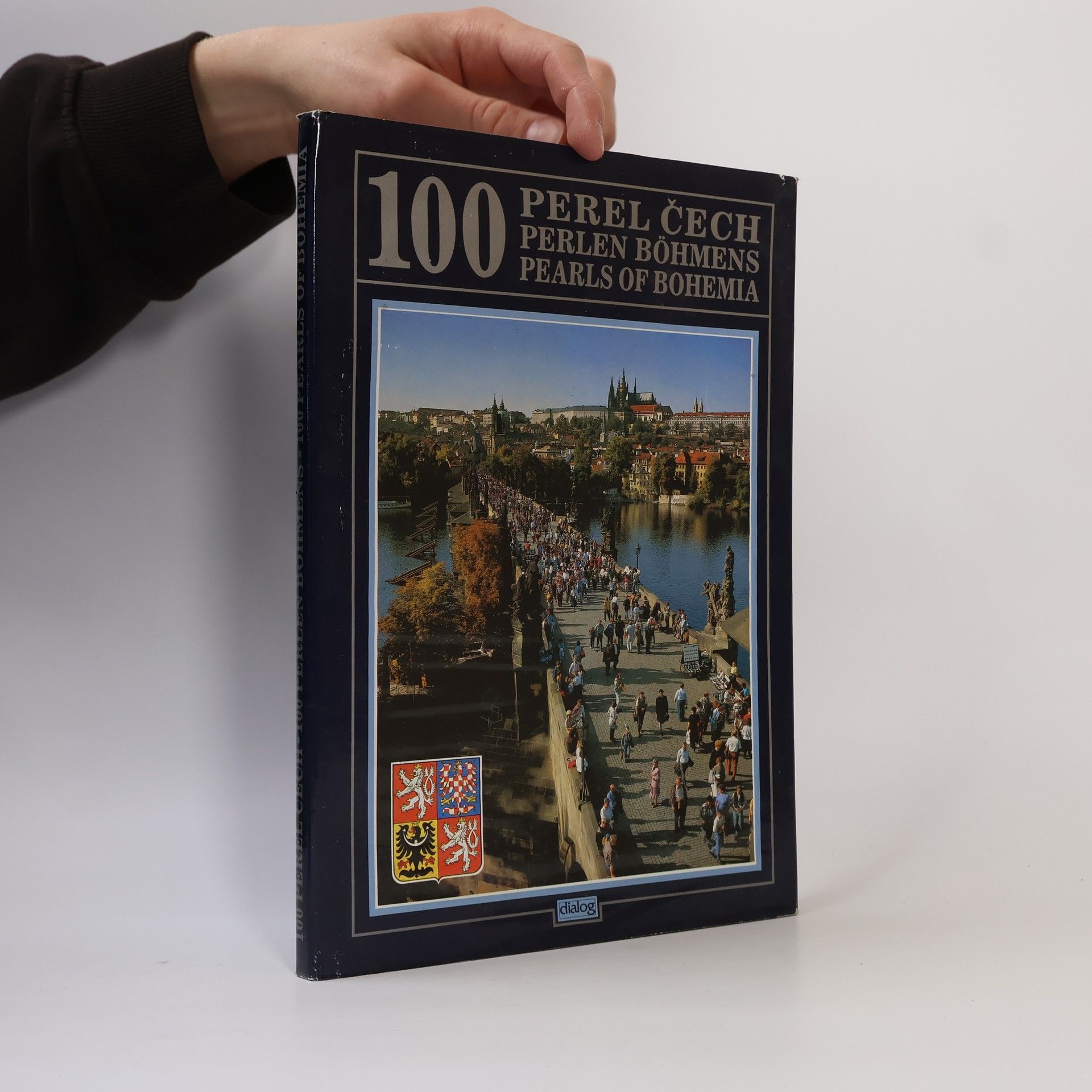 Kolektiv autorů 100 perel Čech