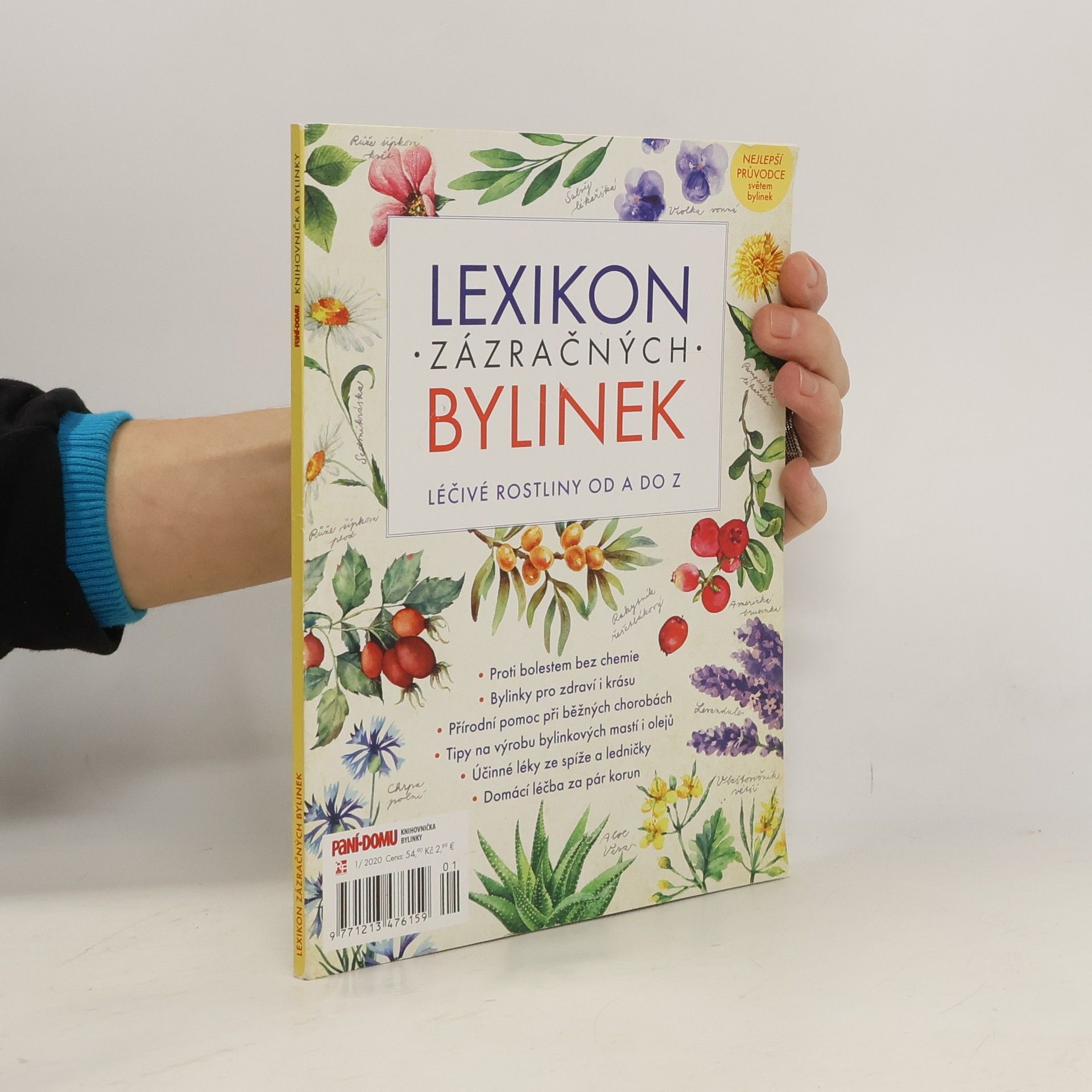 Autorenkollektiv Lexikon zázračných bylinek