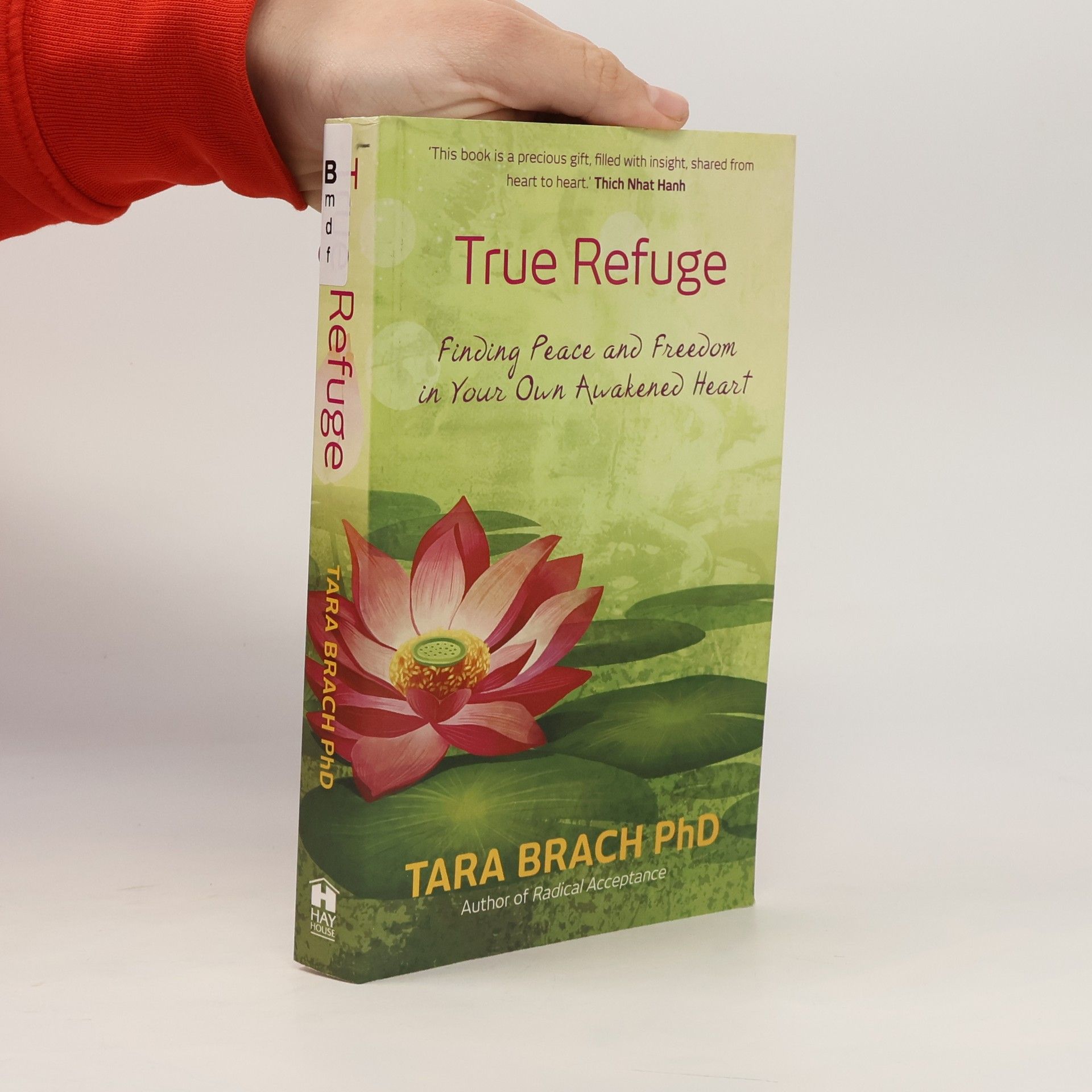 Tara Brach True Refuge